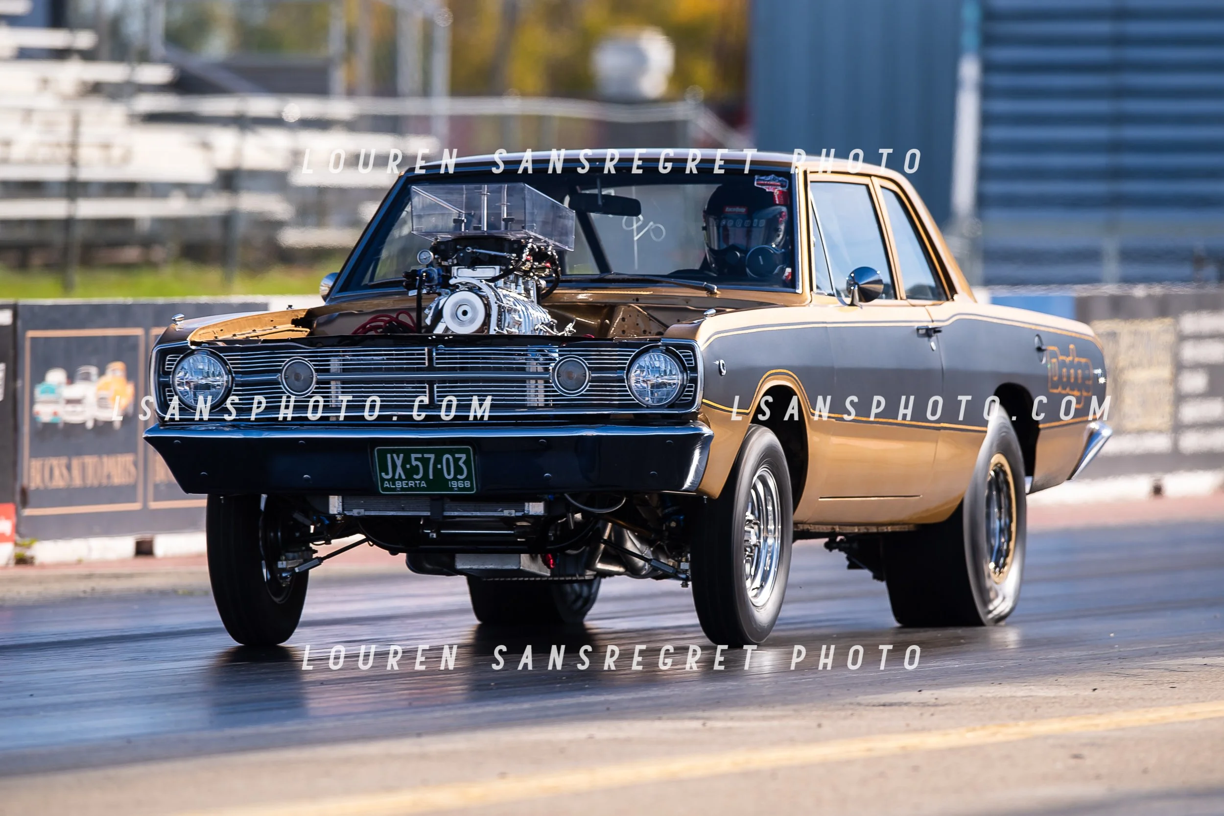 LS3_8543.jpg
