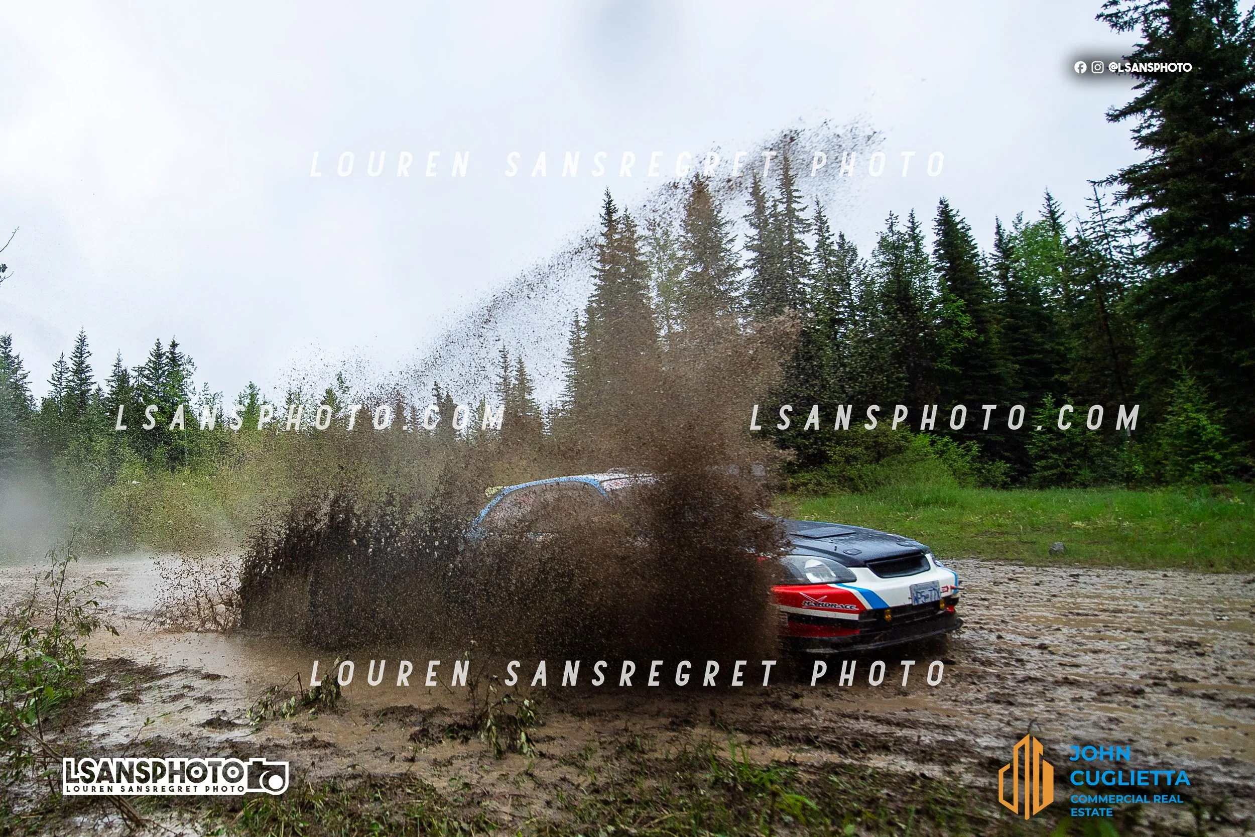 LS3_9541.jpg
