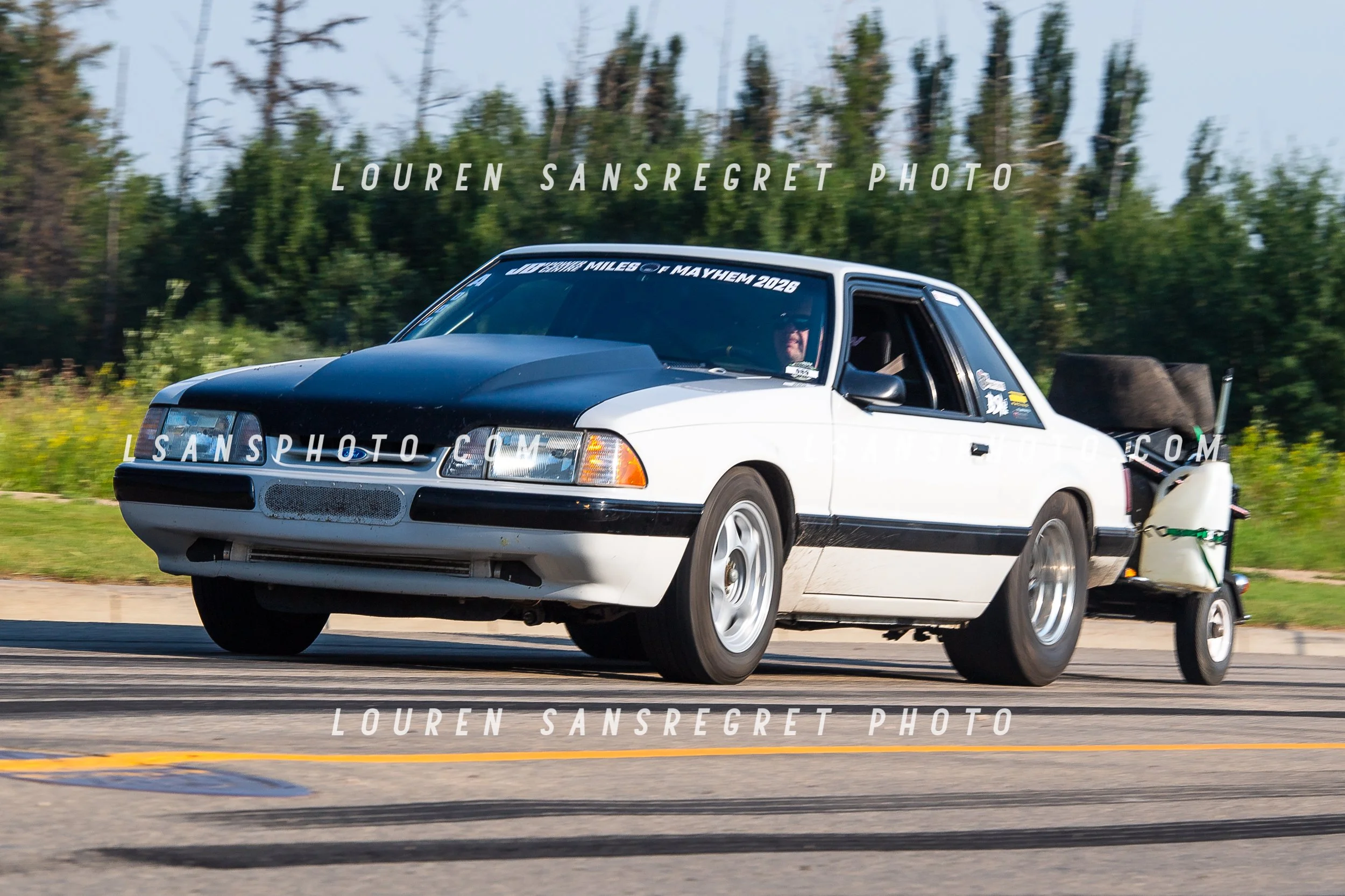 LS3_5767.jpg