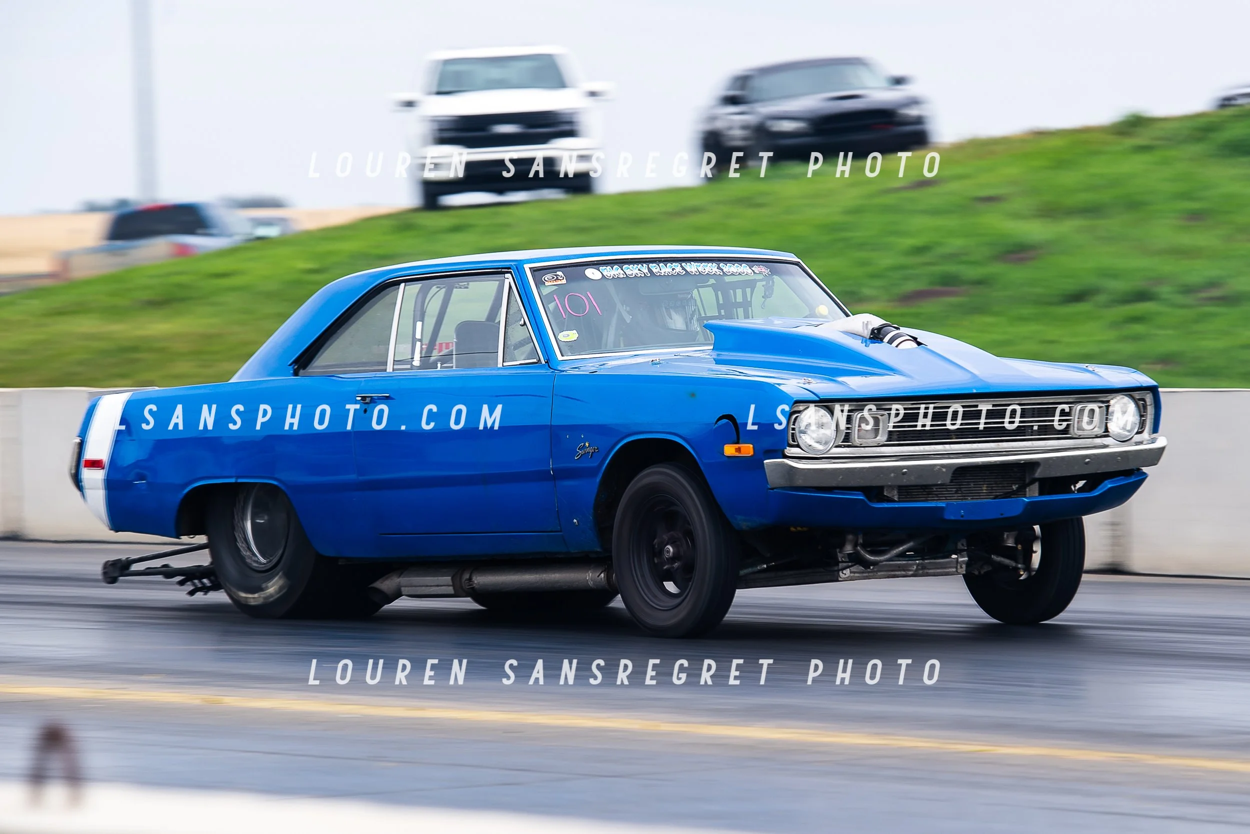 LS3_4147.jpg