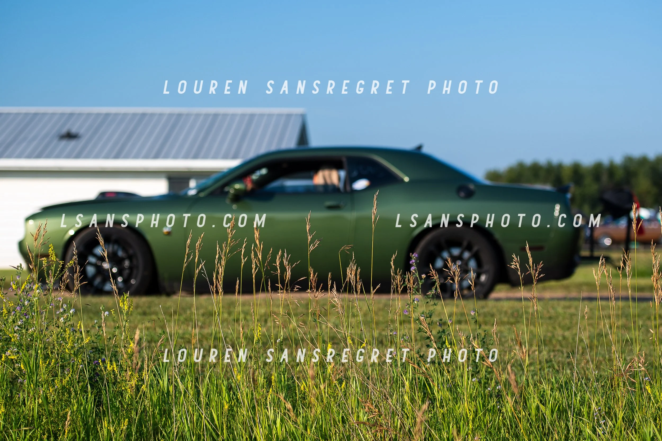 LS3_3140.jpg