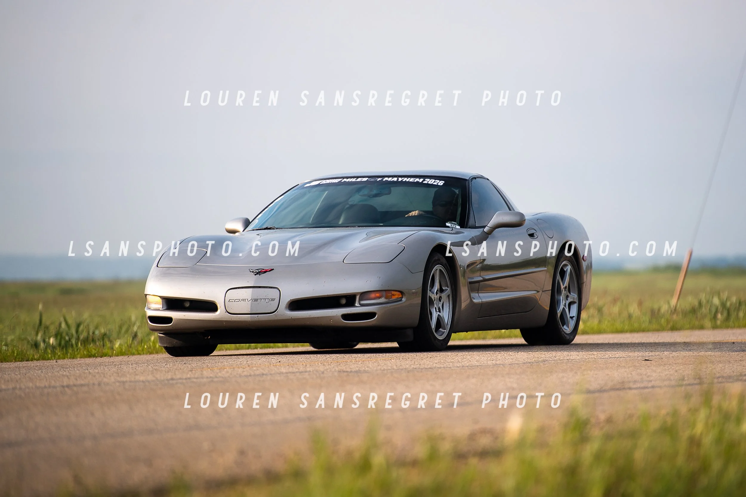 LS3_6222.jpg