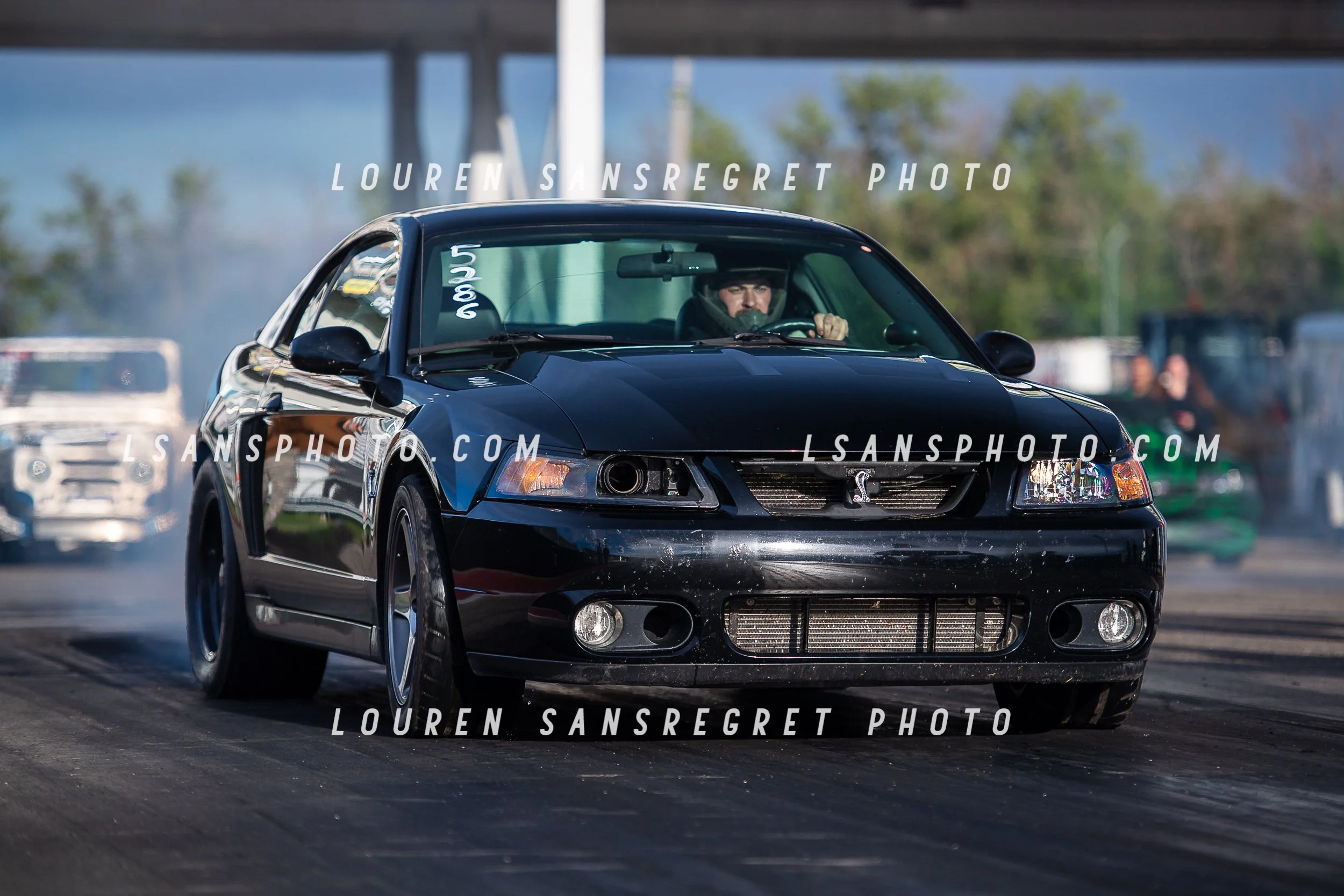 LS3_1262.jpg