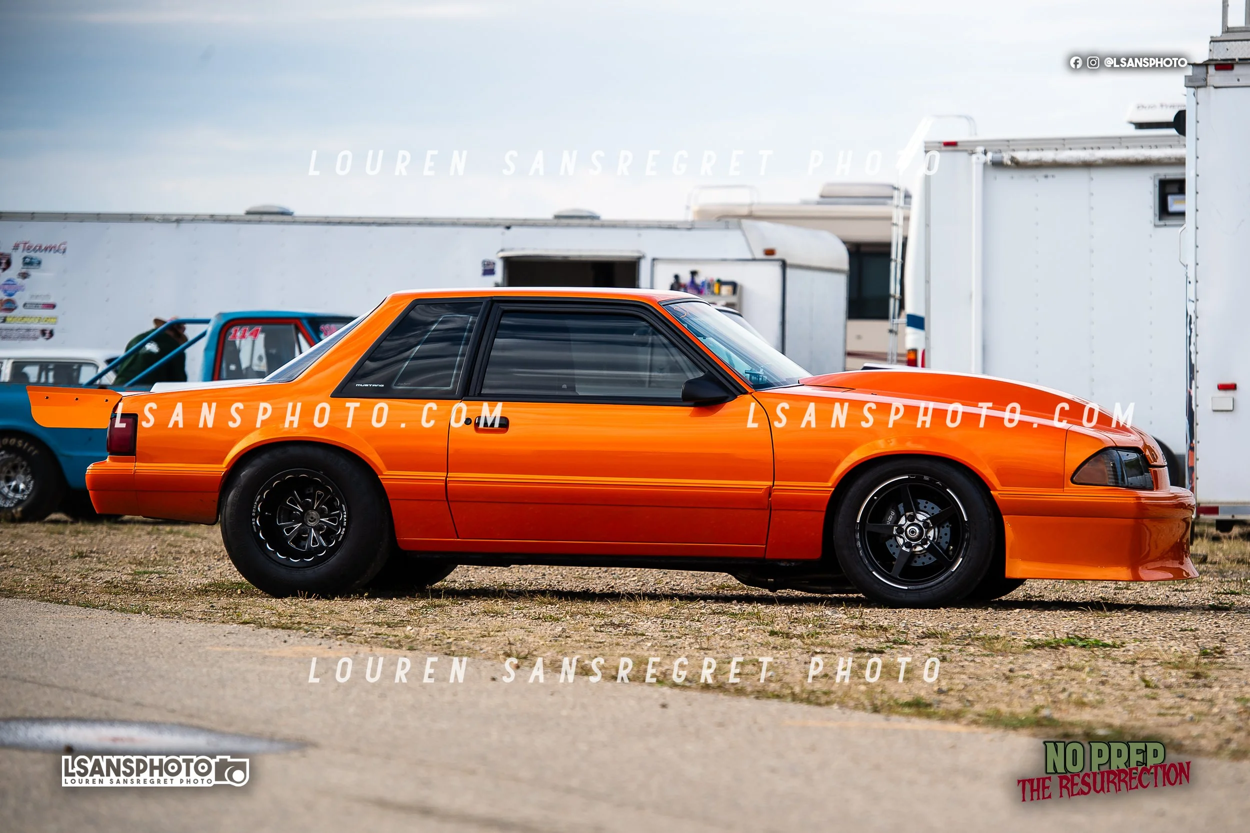 LS3_3303.jpg