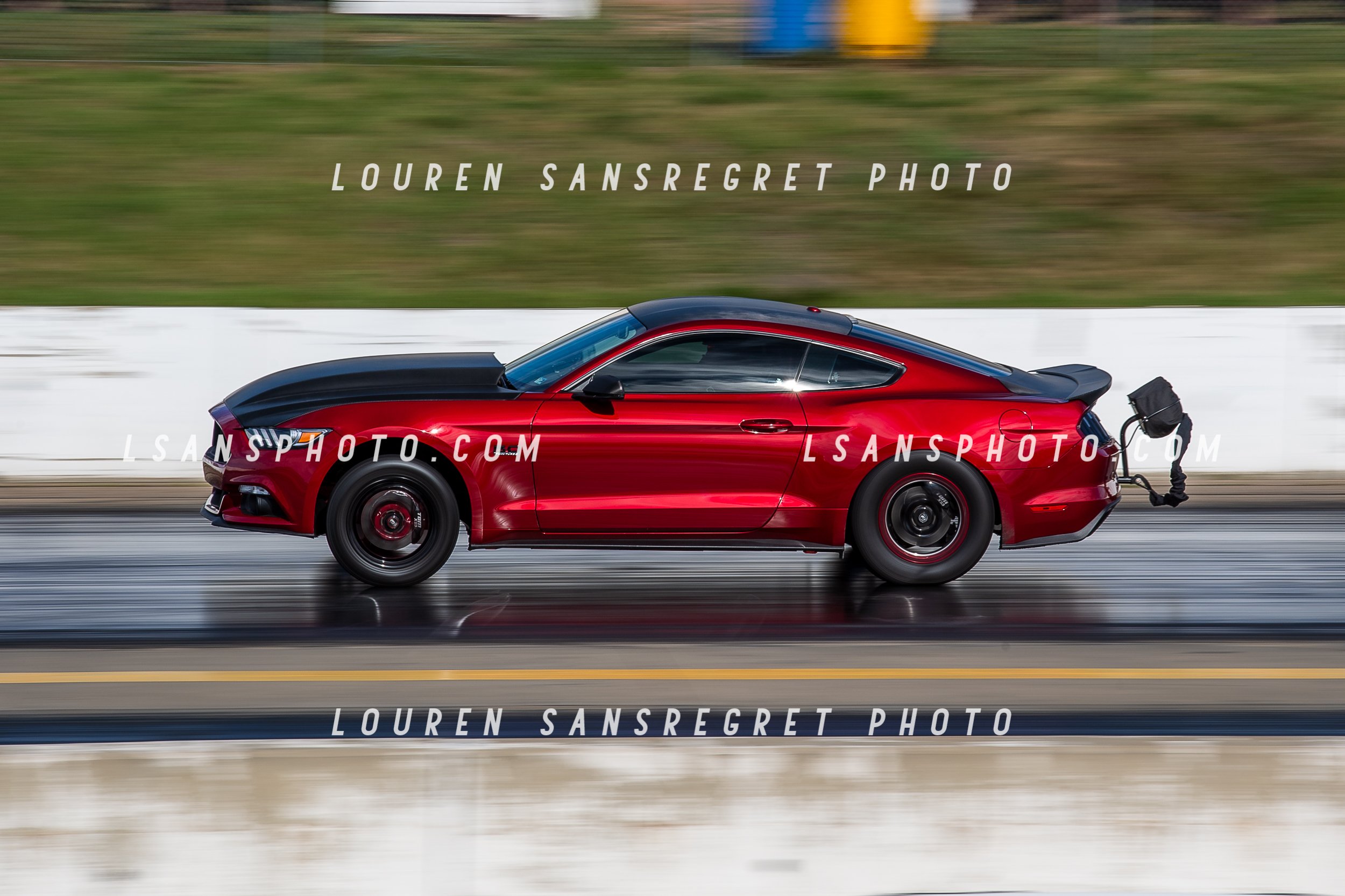 LS4_7195.jpg