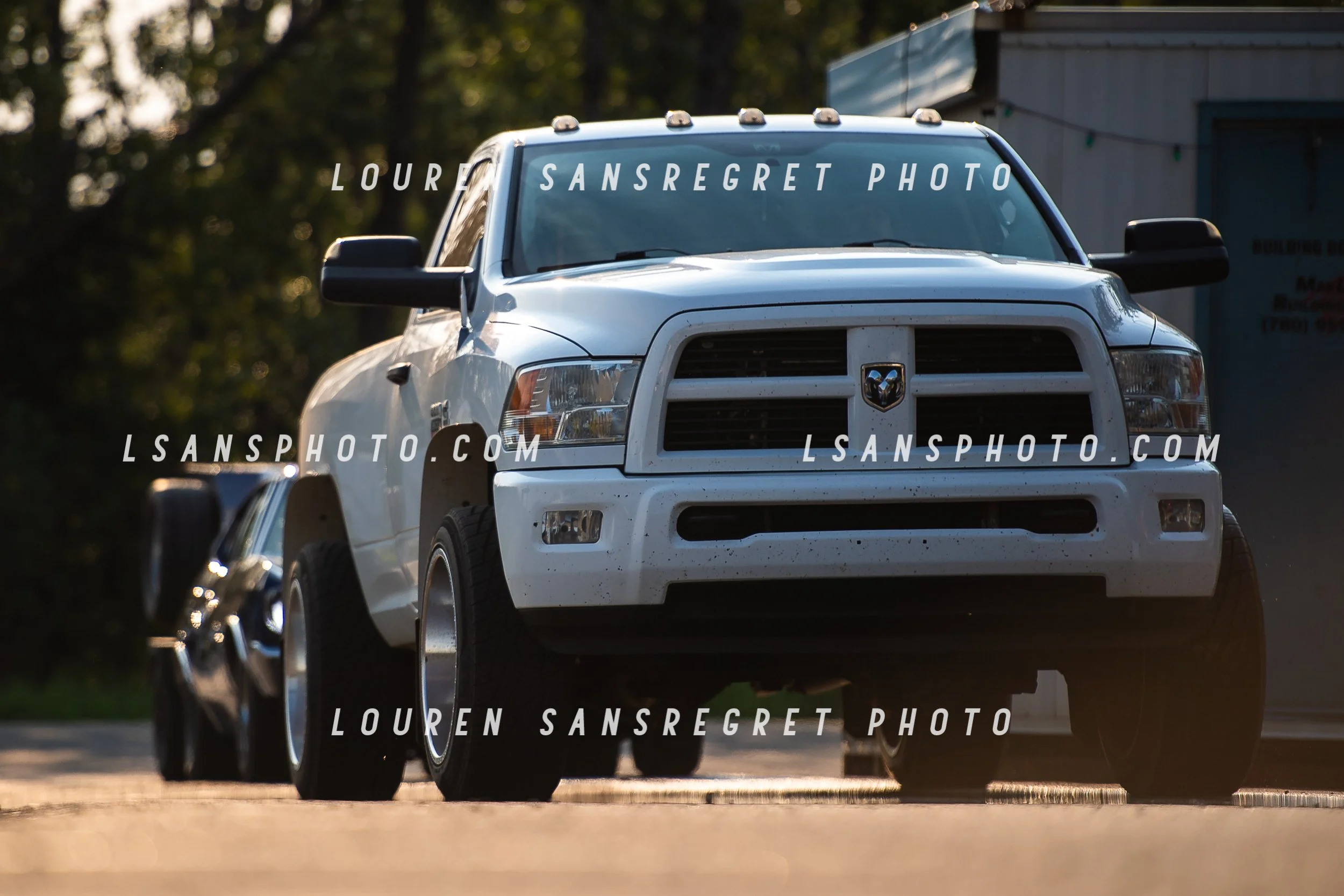 LS3_4042.jpg