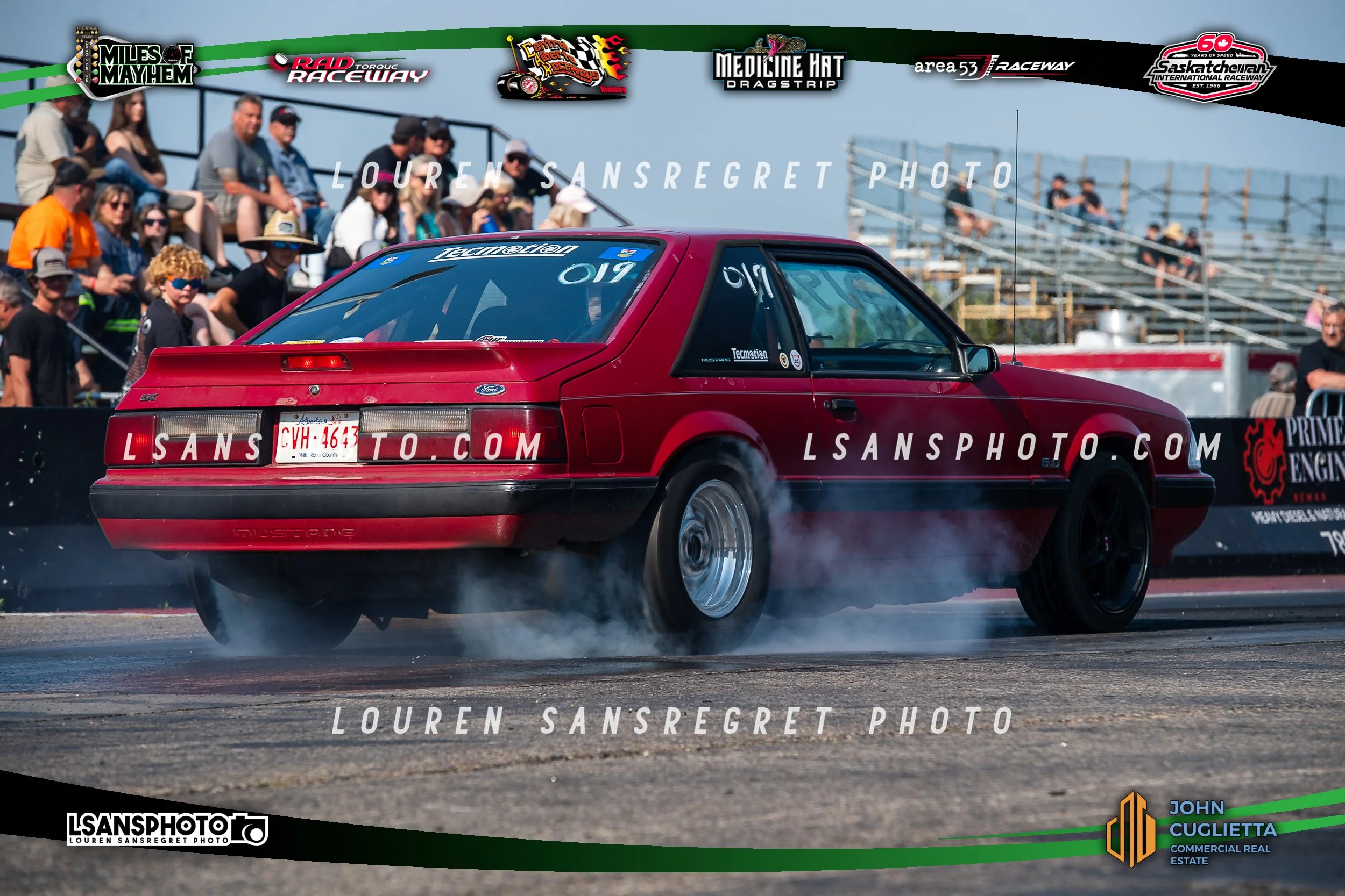 LS3_5895.jpg