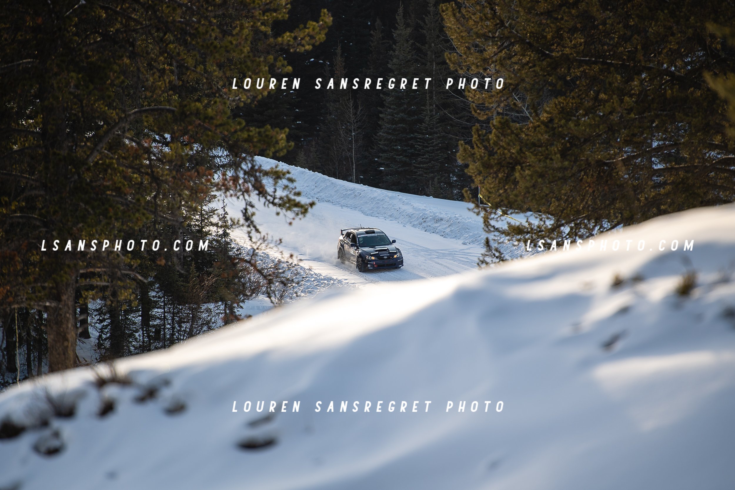 LS3_1515.jpg