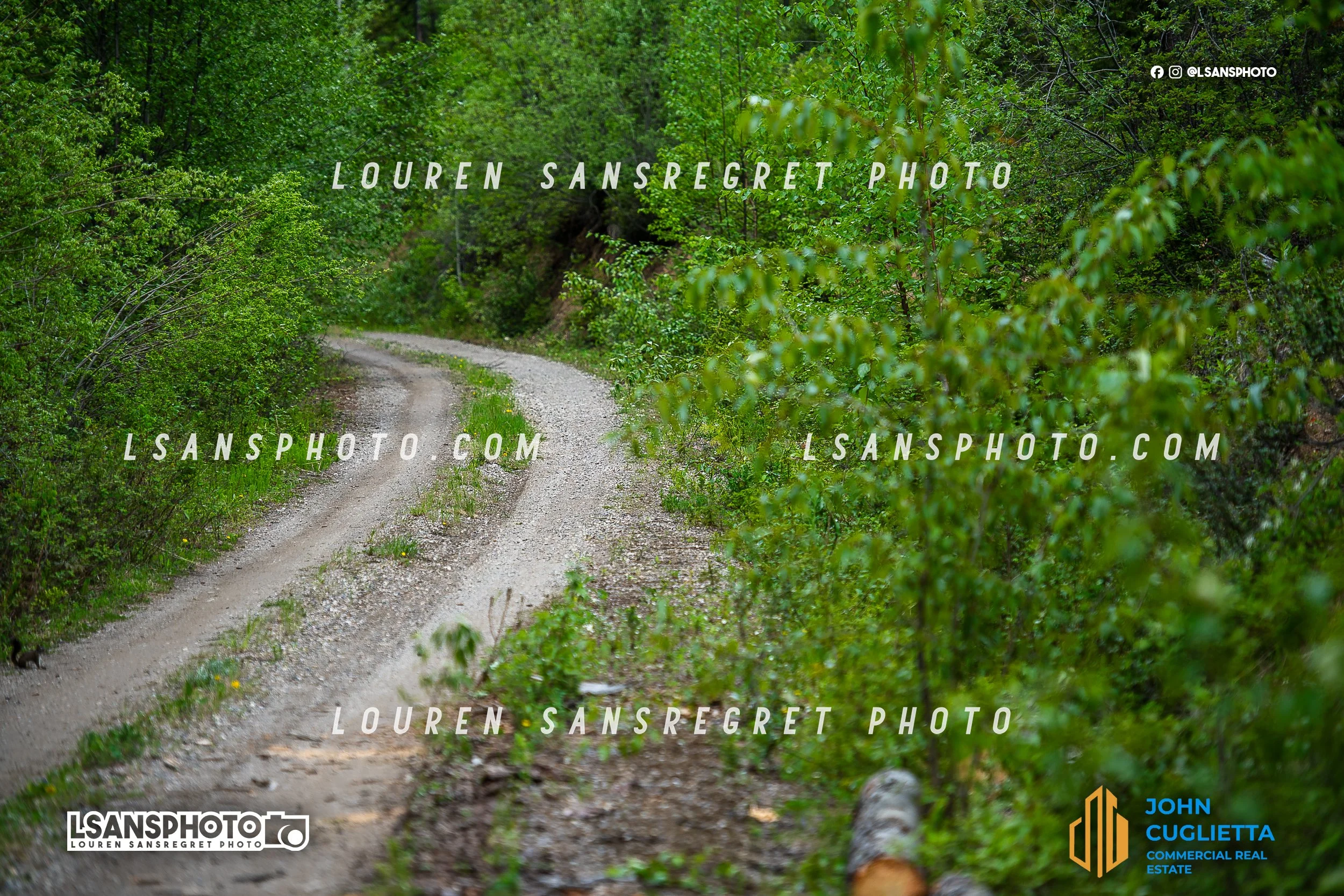 LS4_6349.jpg