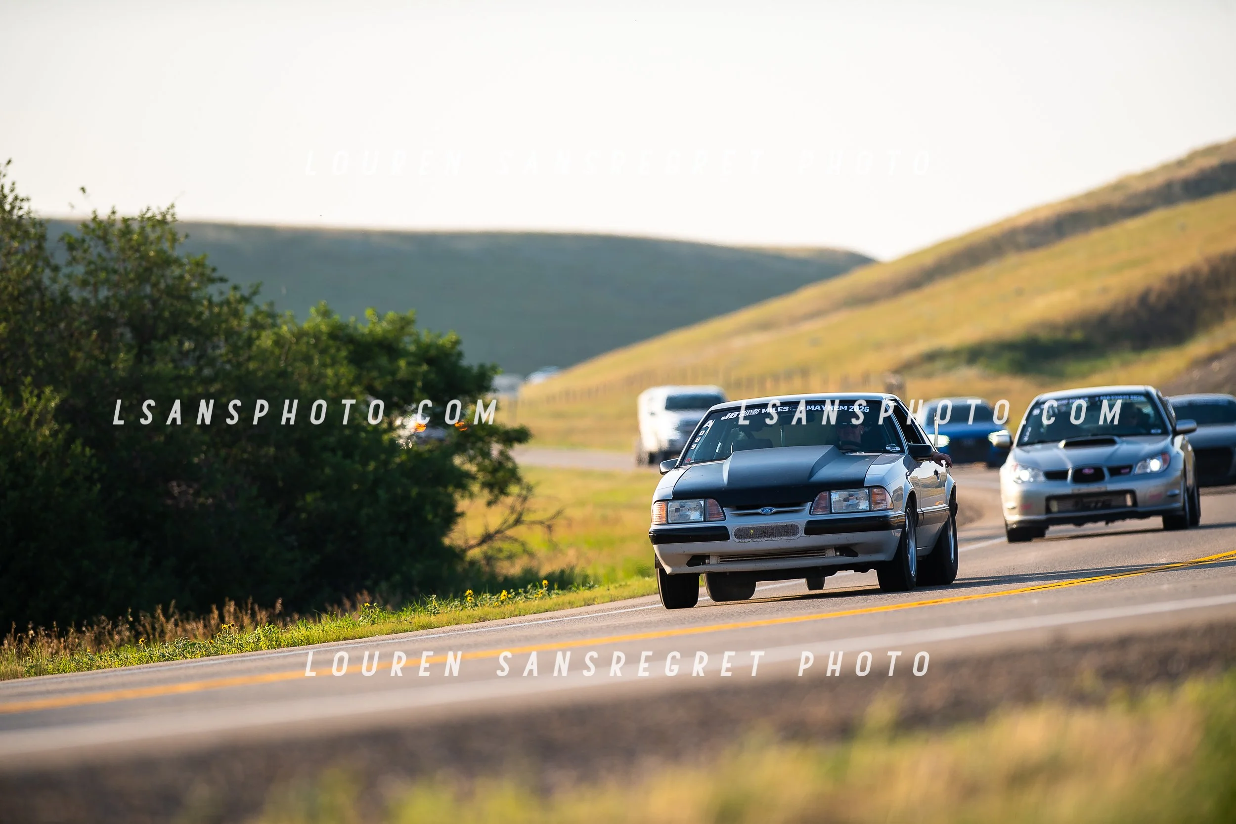 LS4_7125.jpg