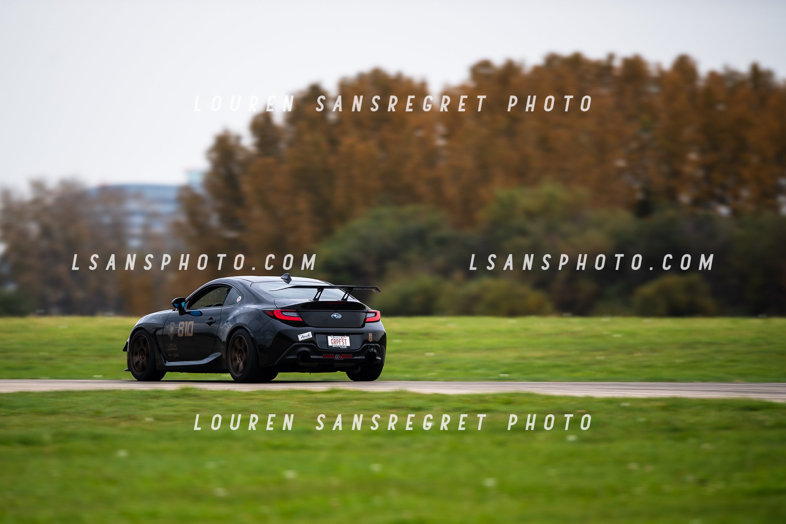 LS3_7611.jpg