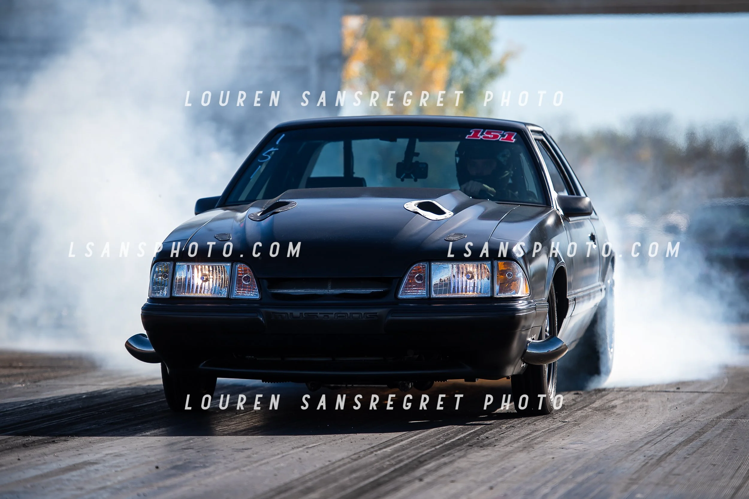 LS4_6558.jpg