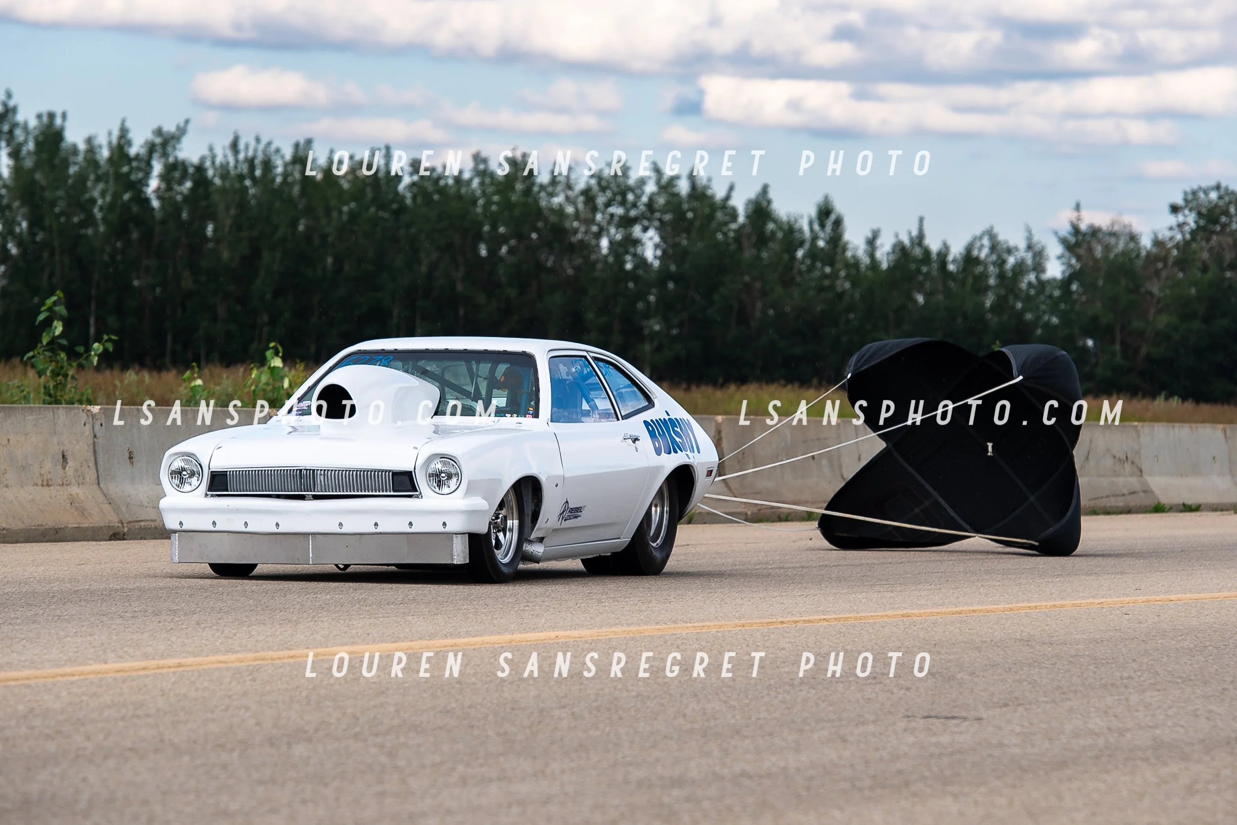 LS4_2210.jpg