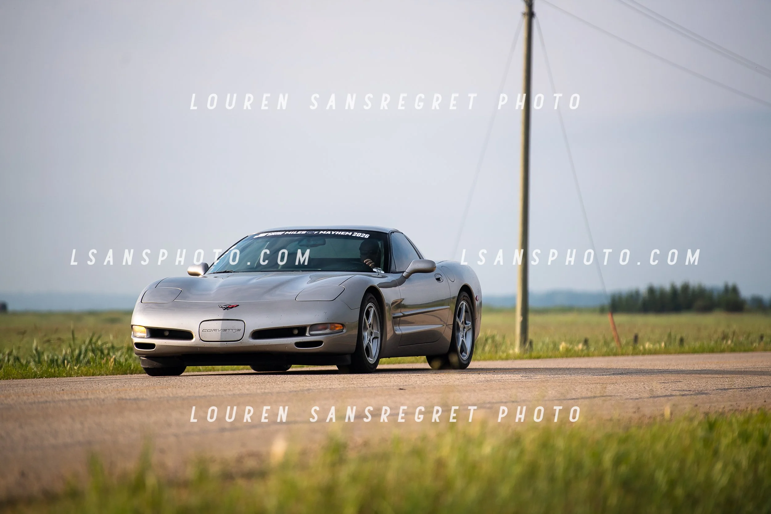 LS3_6220.jpg