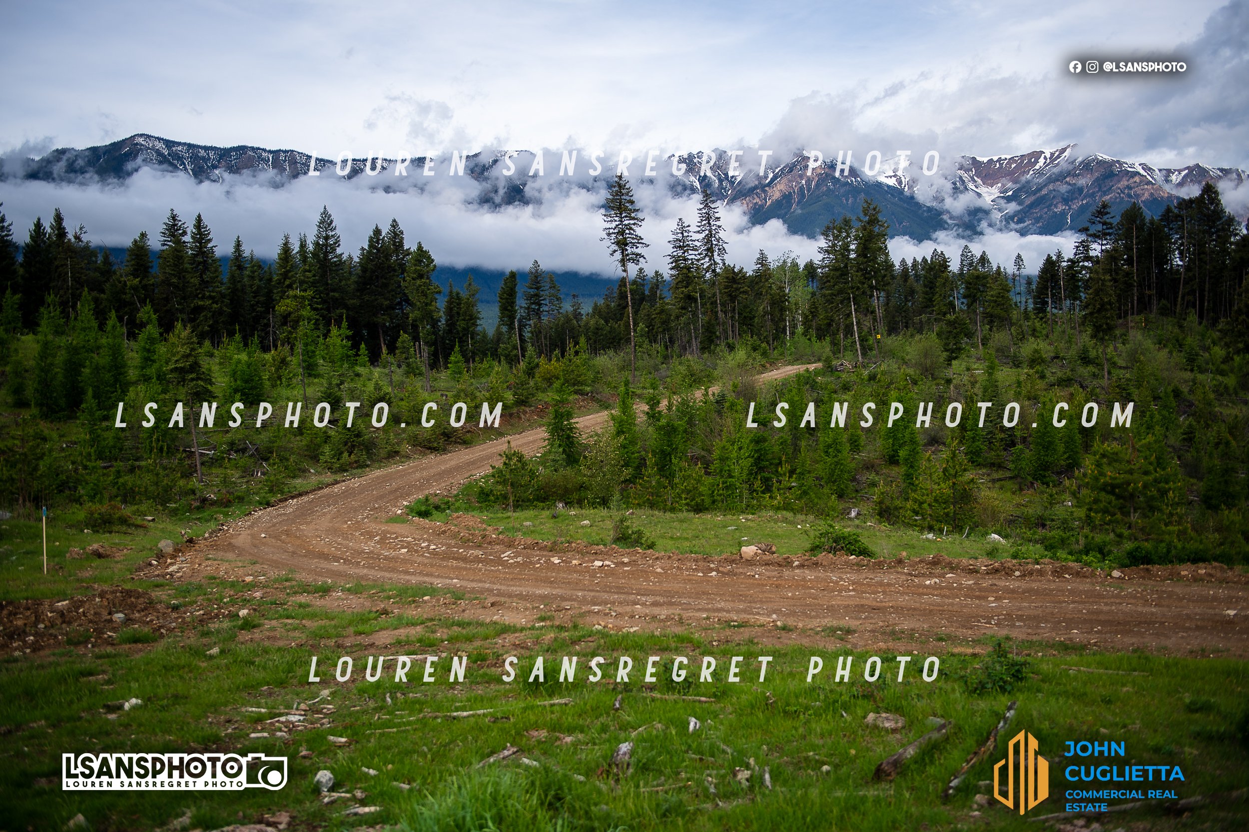 LS3_7536.jpg
