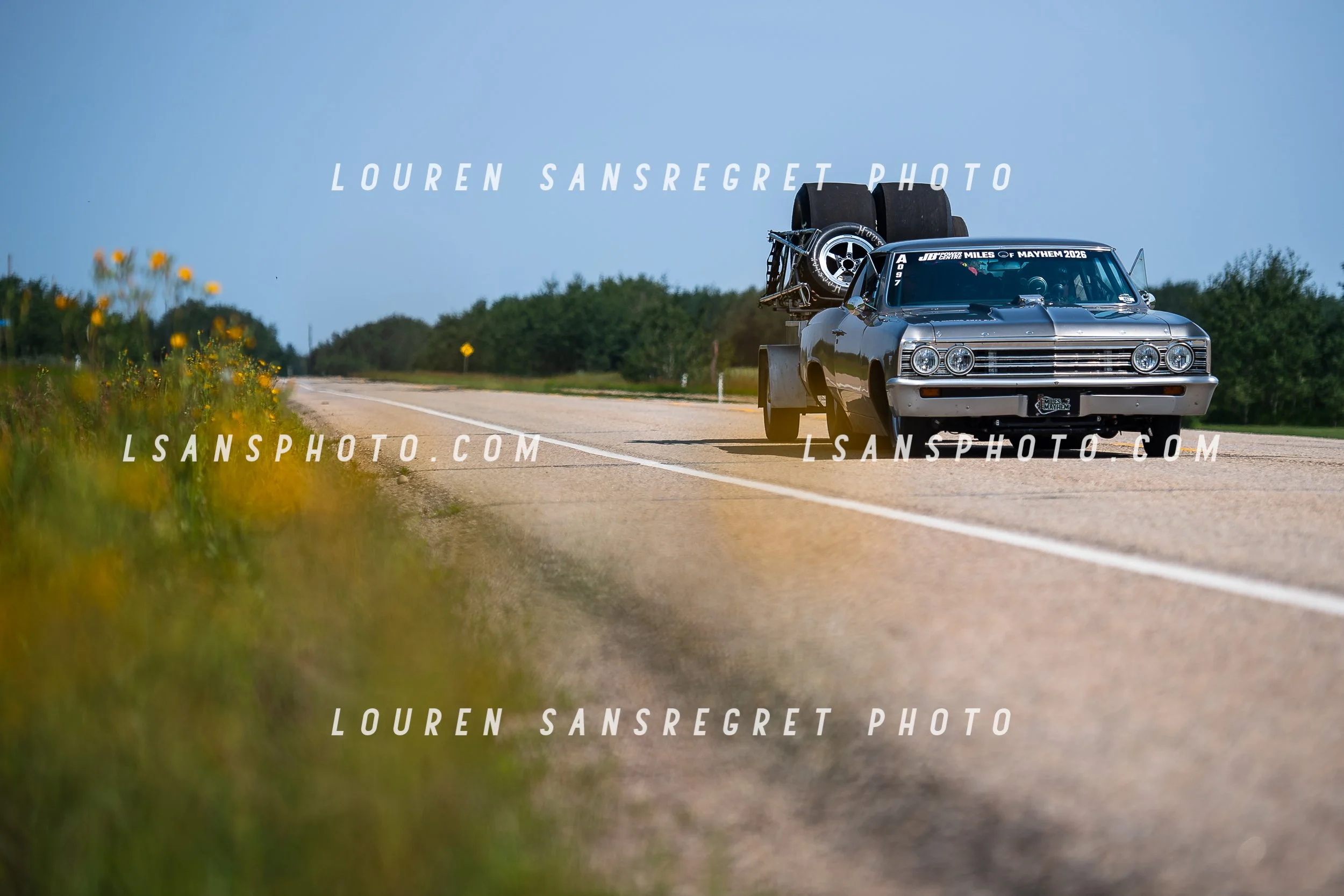 LS3_4205.jpg