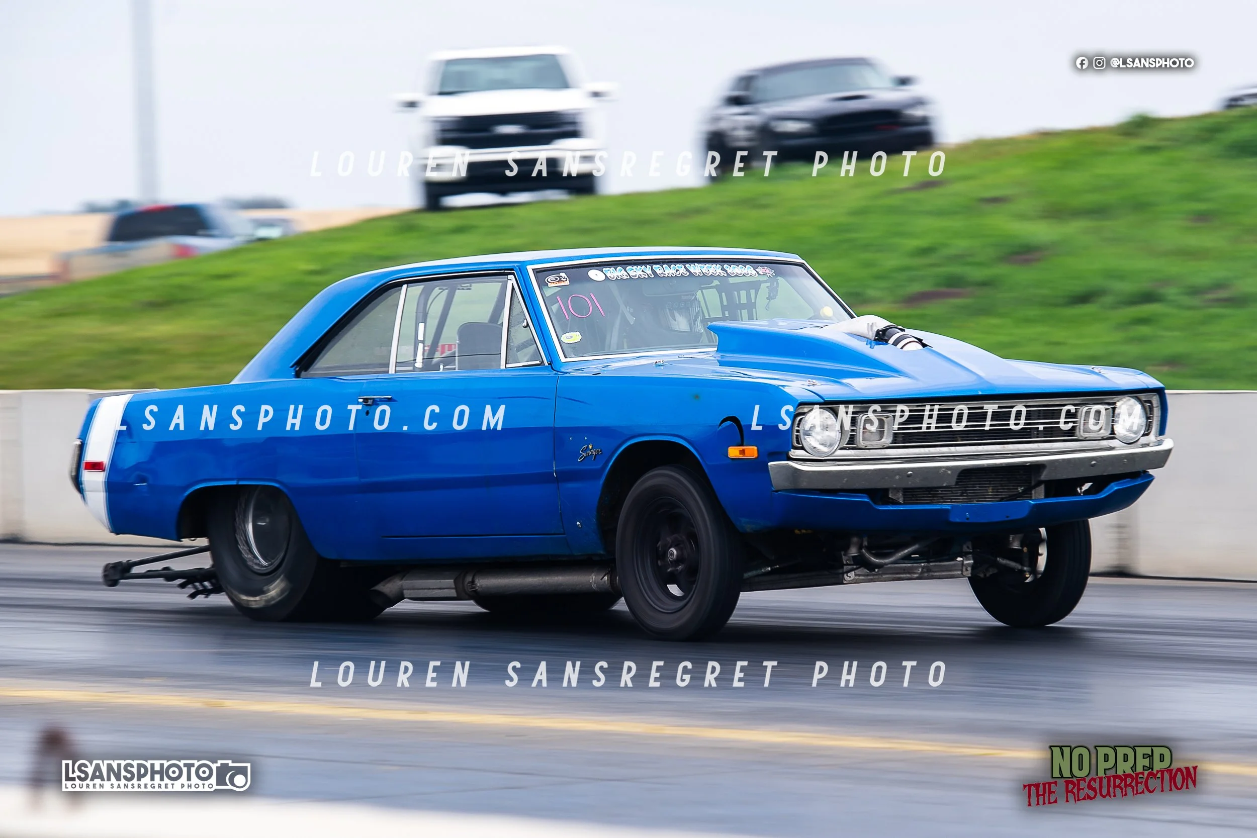 LS3_4147.jpg