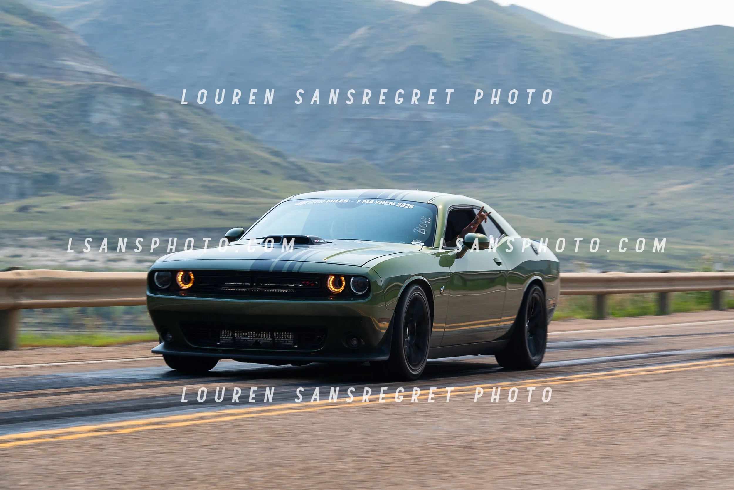 LS3_0339.jpg