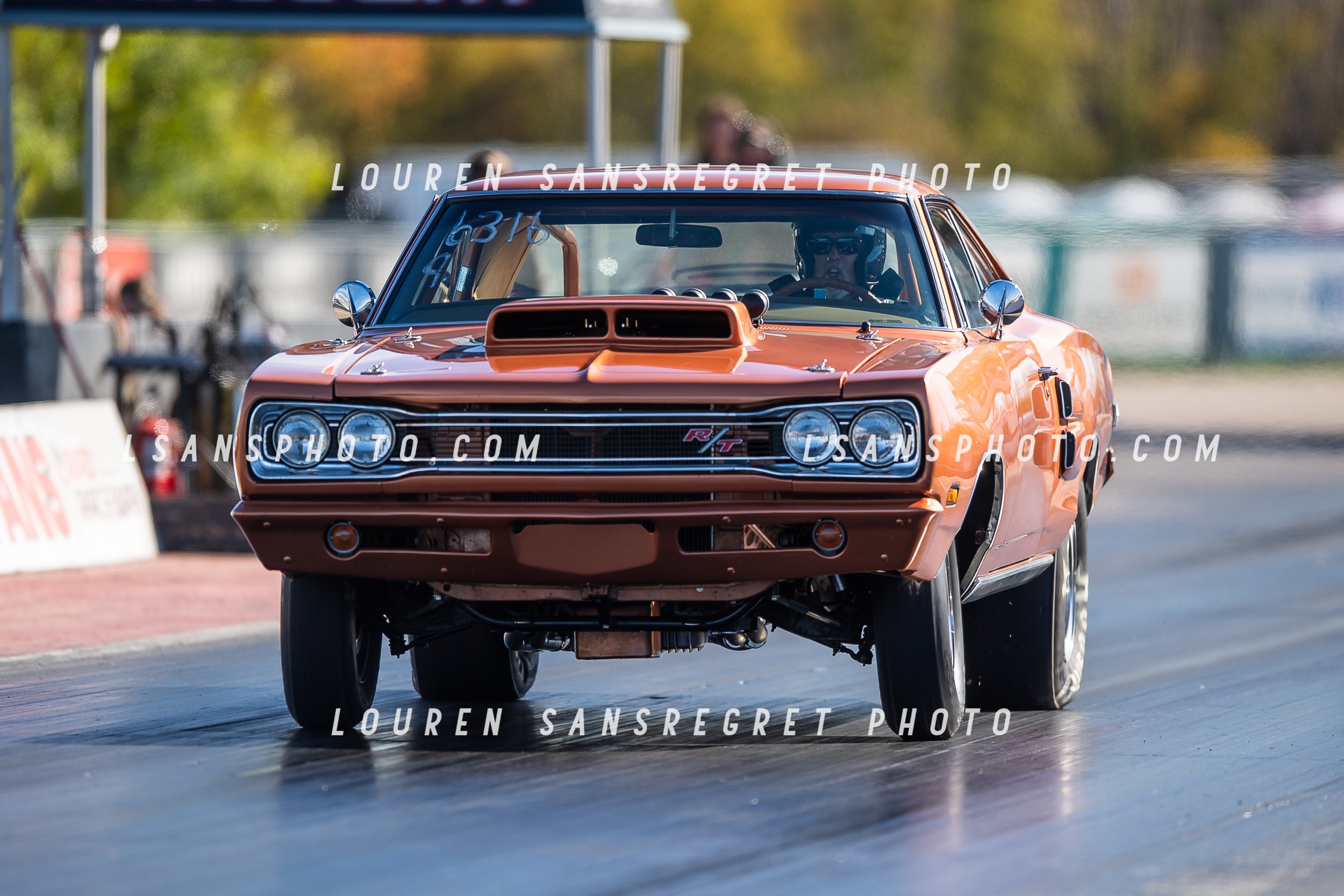 LS3_8597.jpg
