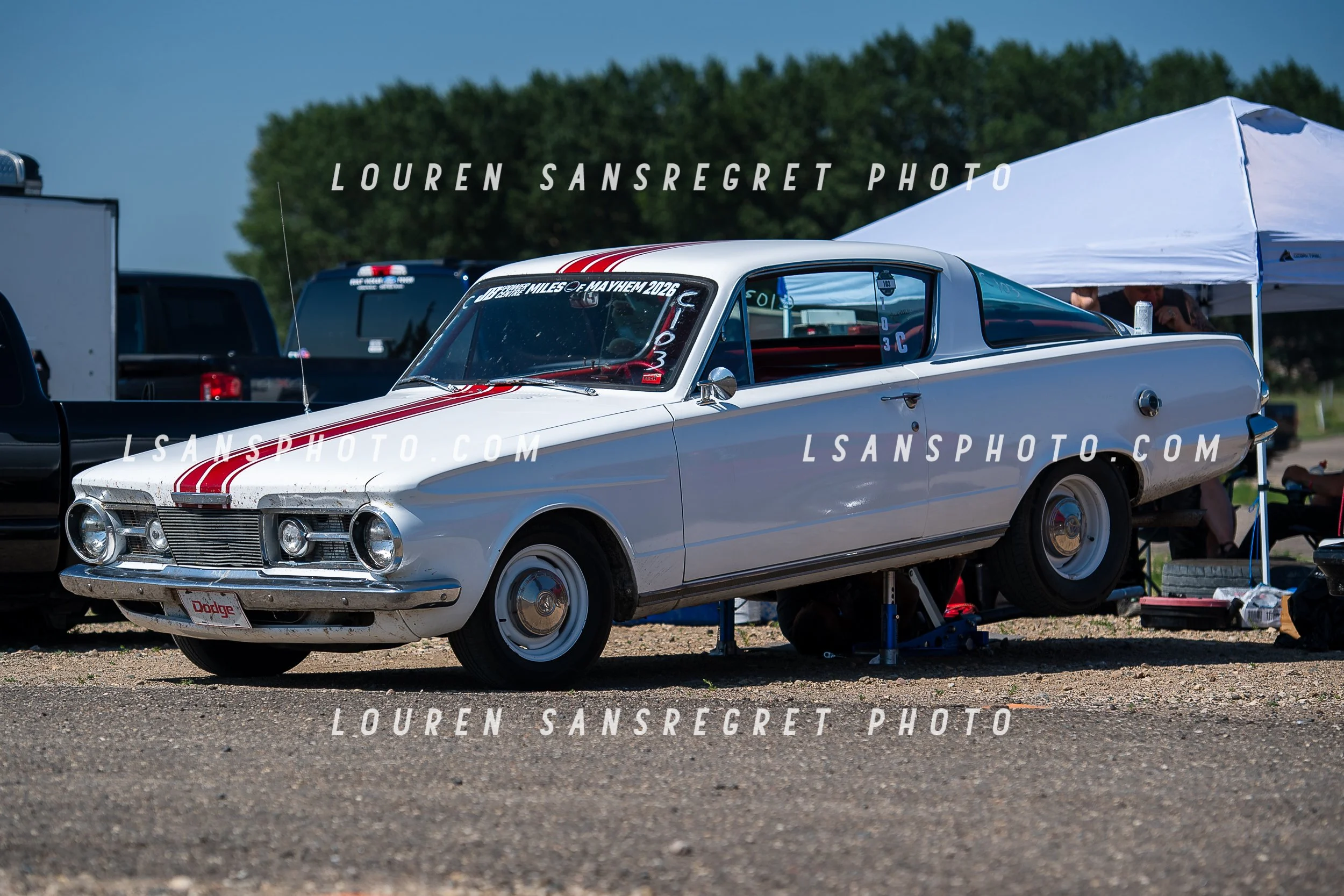 LS3_1868.jpg