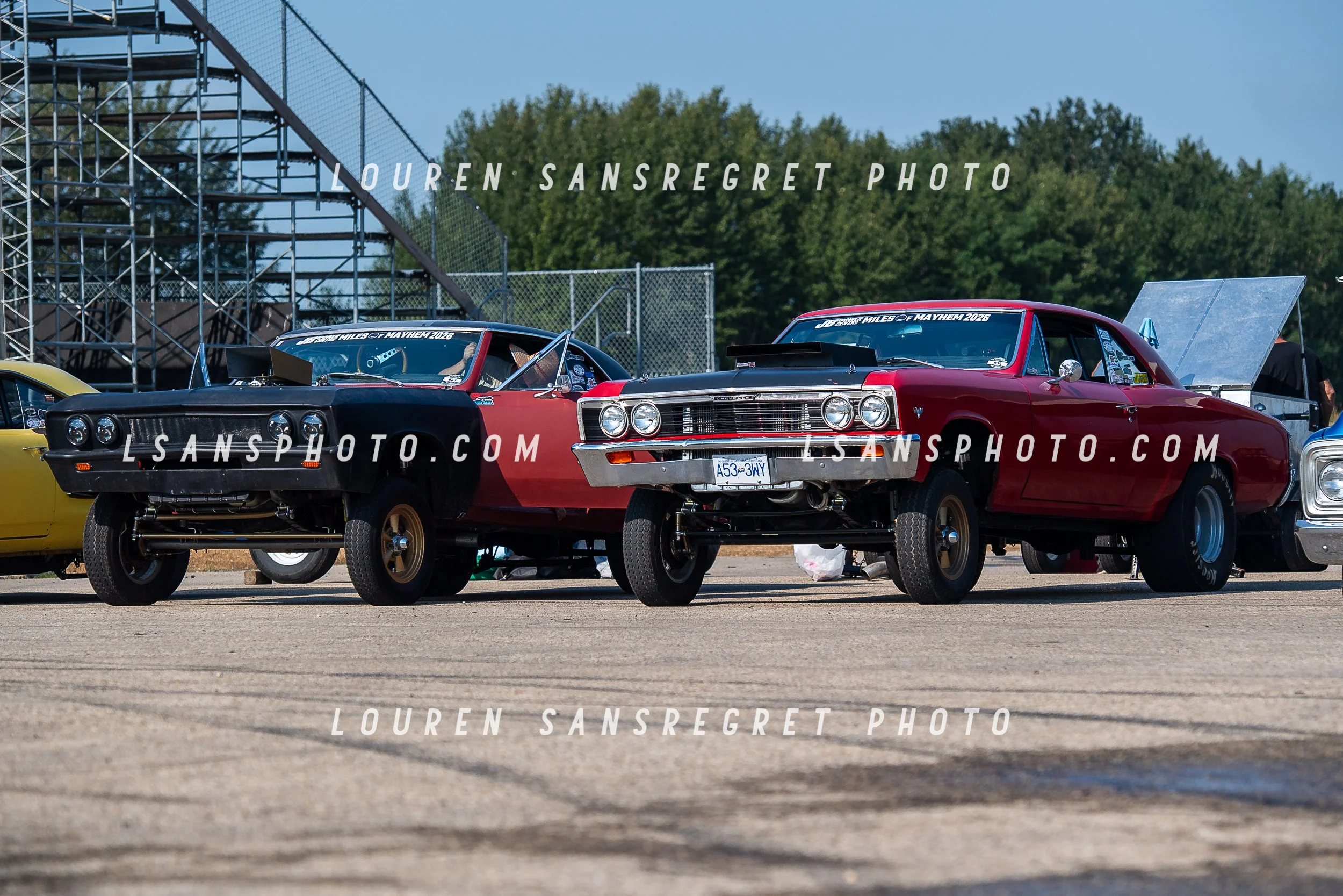 LS3_4248.jpg