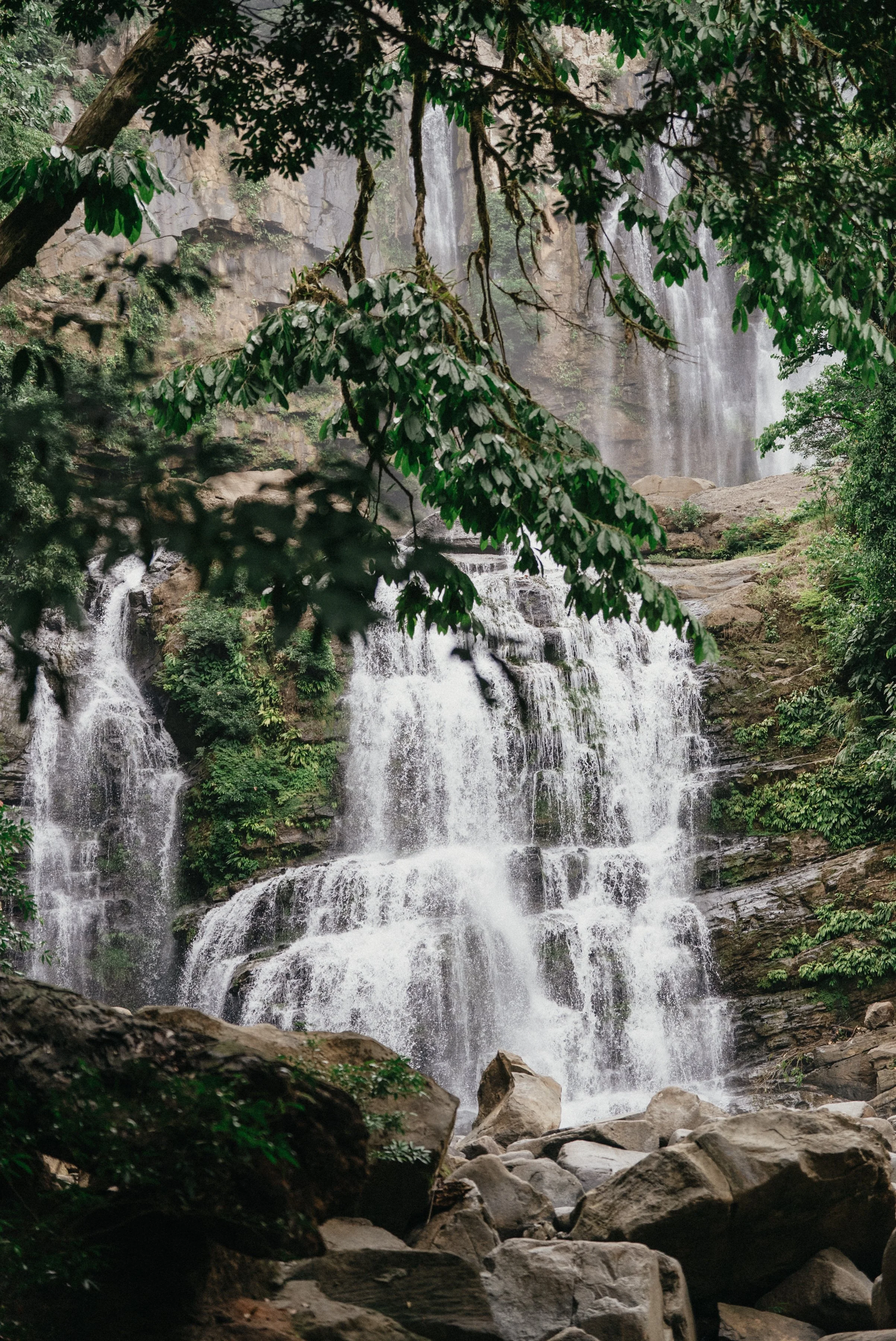 costaricaphotographer-0062.jpg