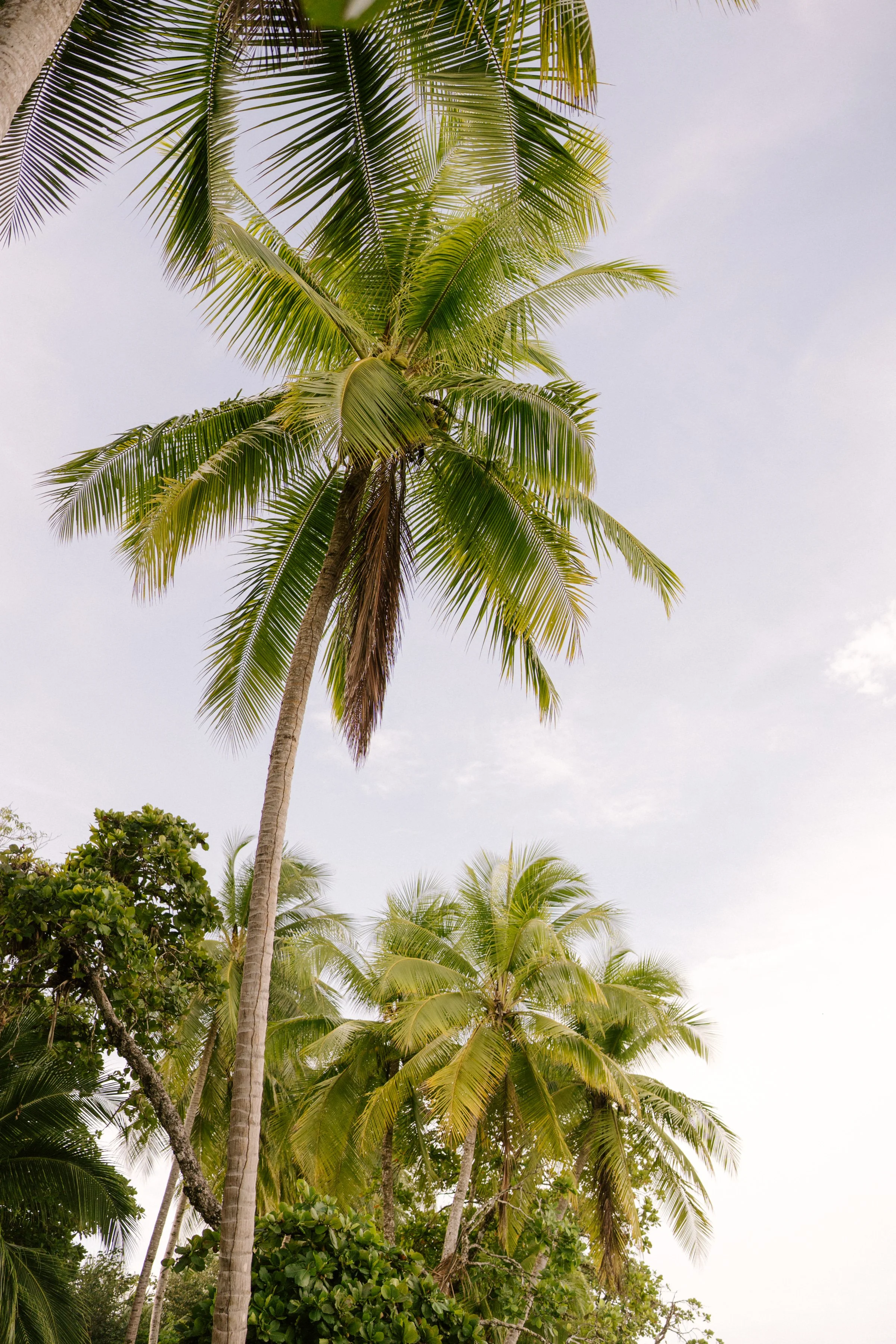 costaricaphotographer-0001.jpg