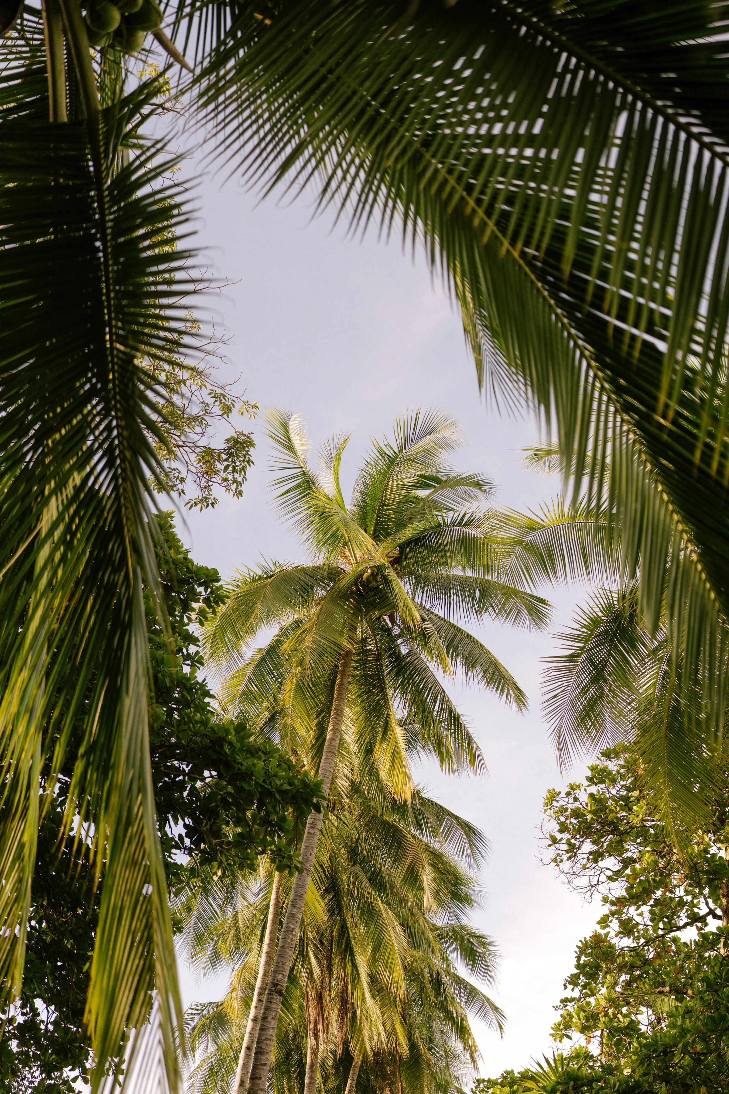 costaricaphotographer-0005.jpg