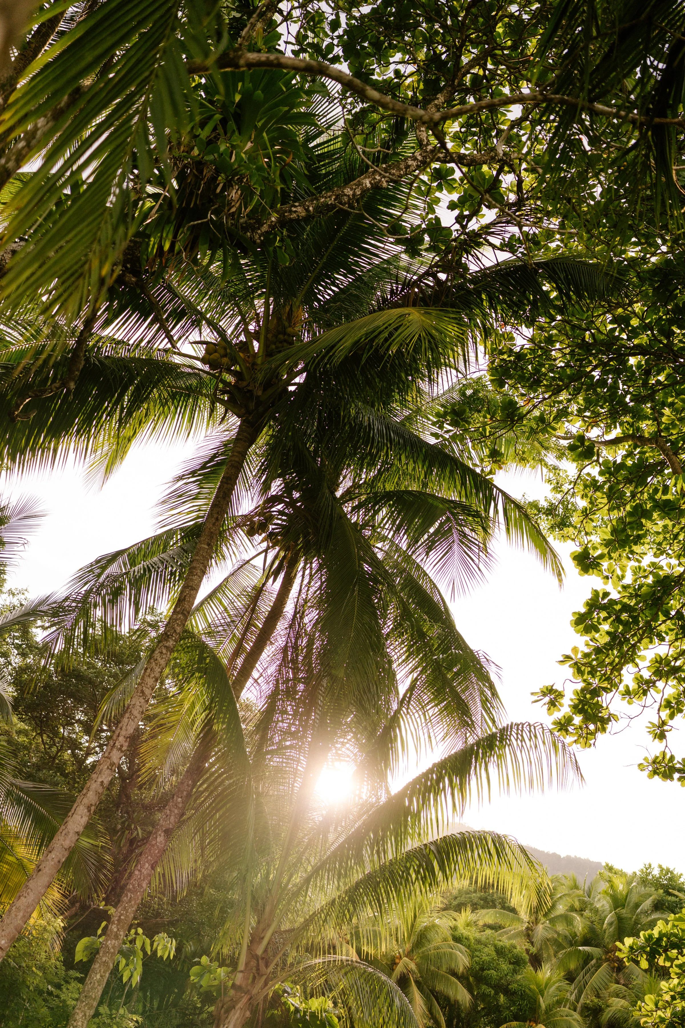 costaricaphotographer-0006.jpg