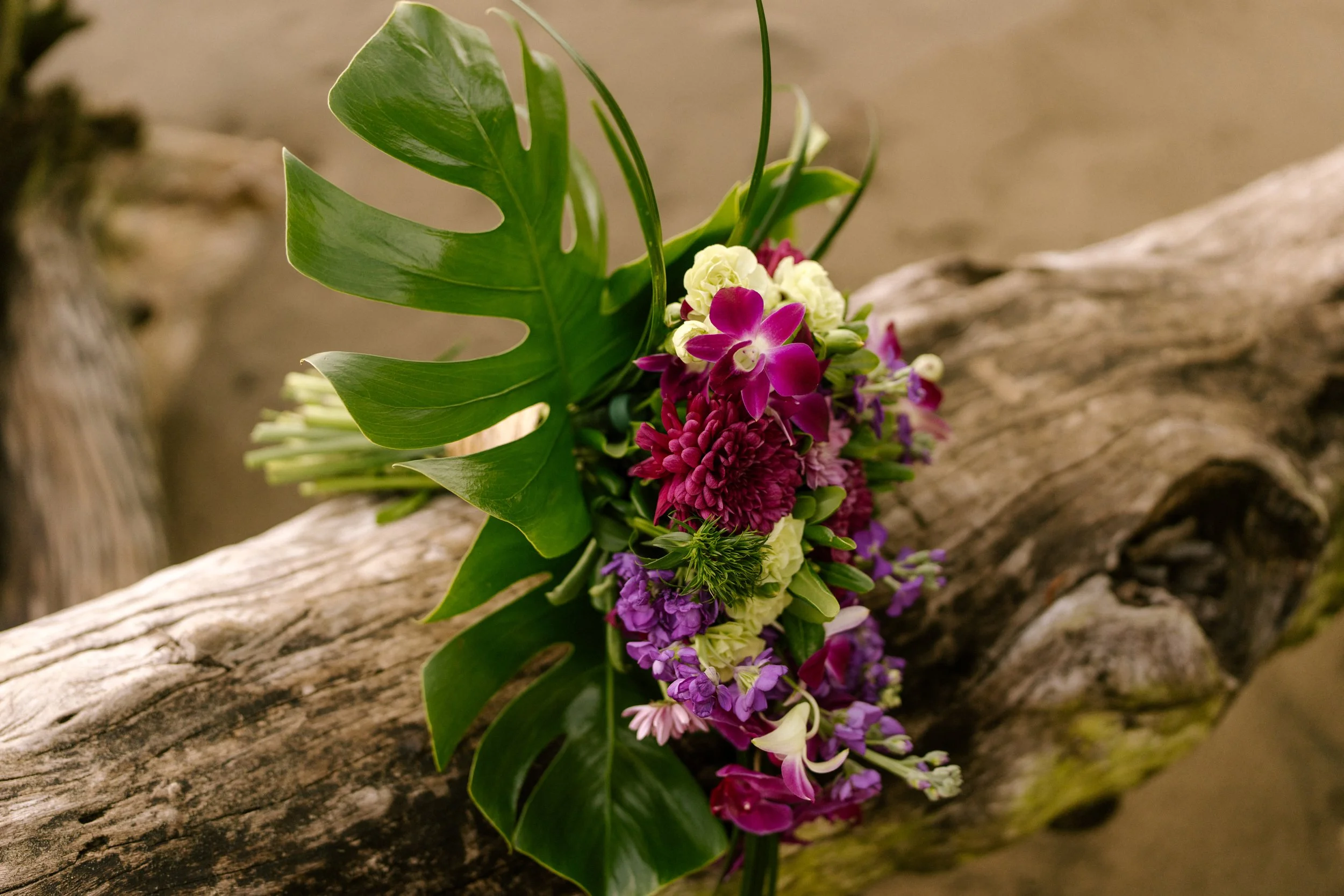 costaricaphotographer-0004.jpg