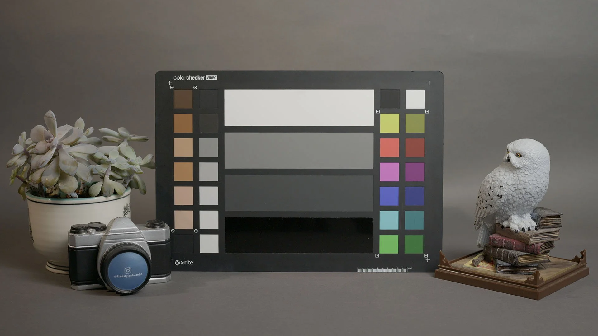 Nikon ZR R3D NE ISO 800 6k 24