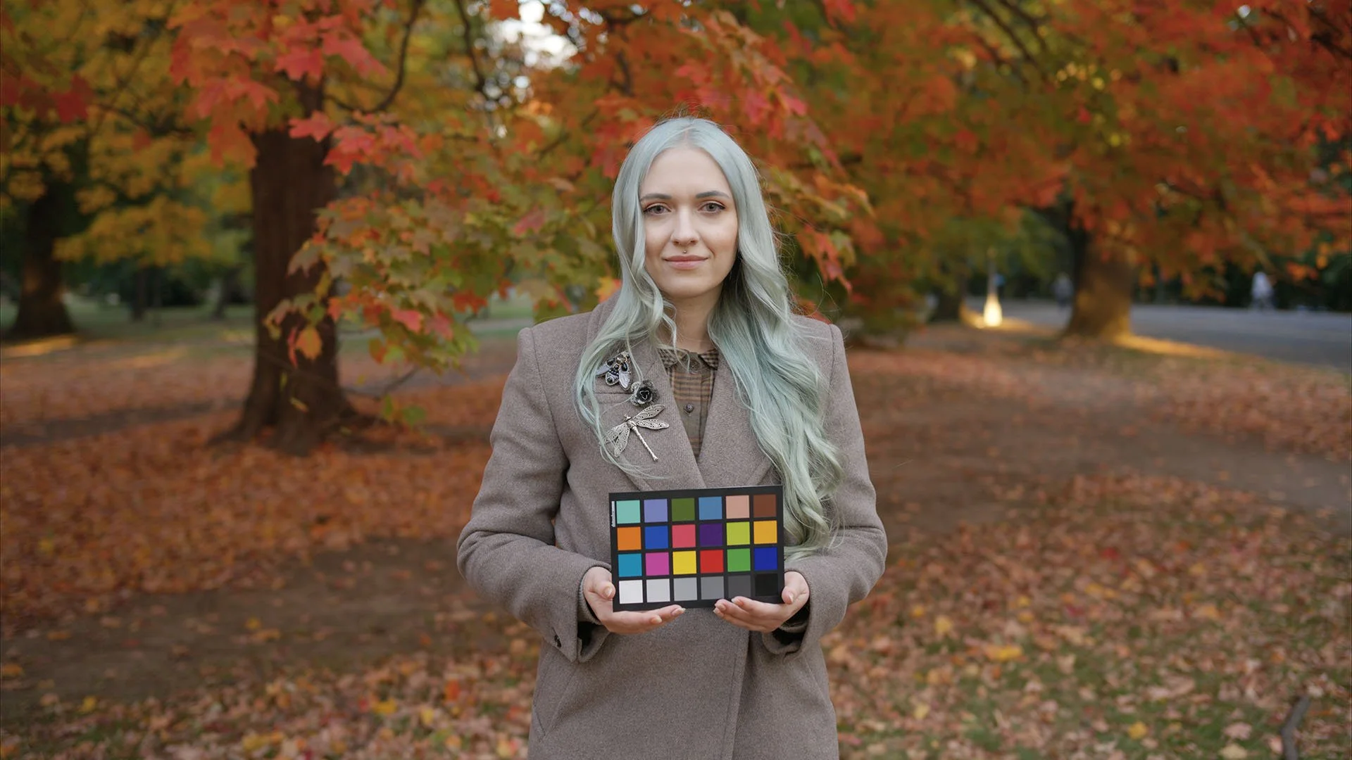 Nikon N-RAW High N-Log + Base 709 LUT