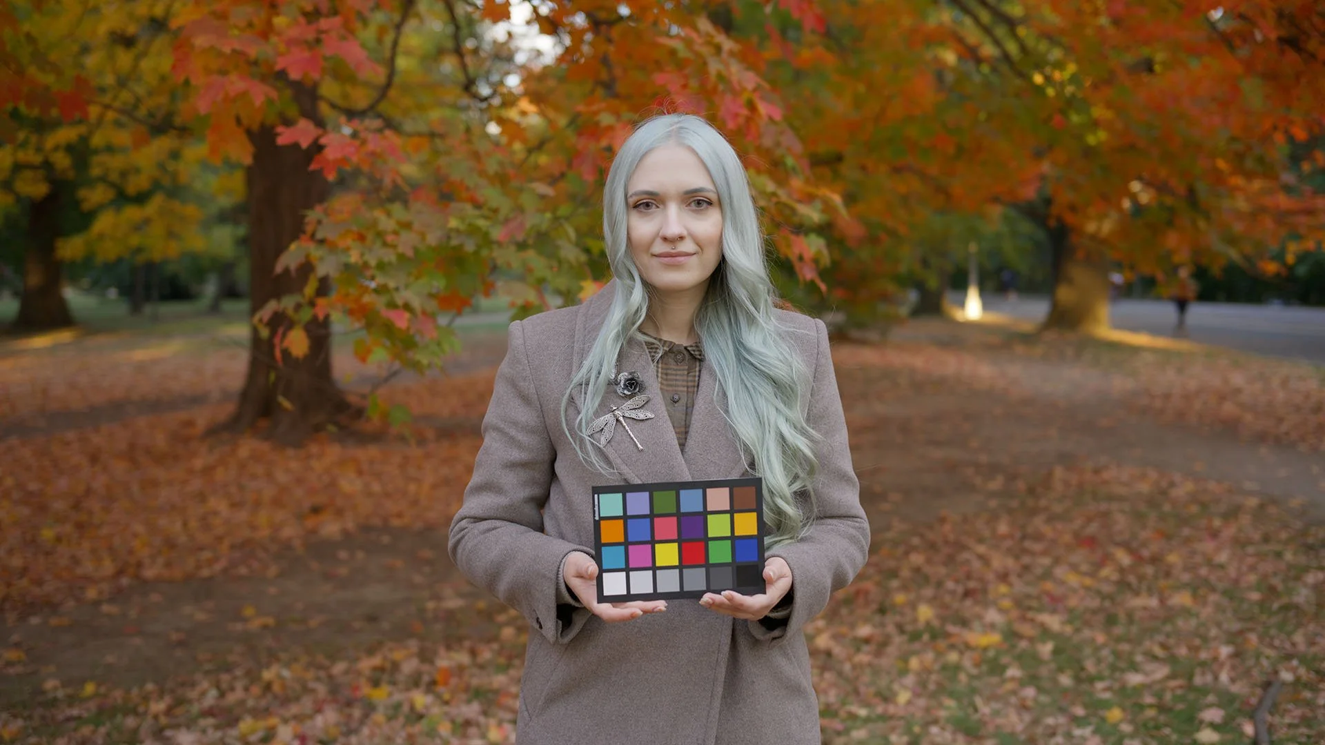 R3D NE RedLog3 G10 + Base 709 LUT