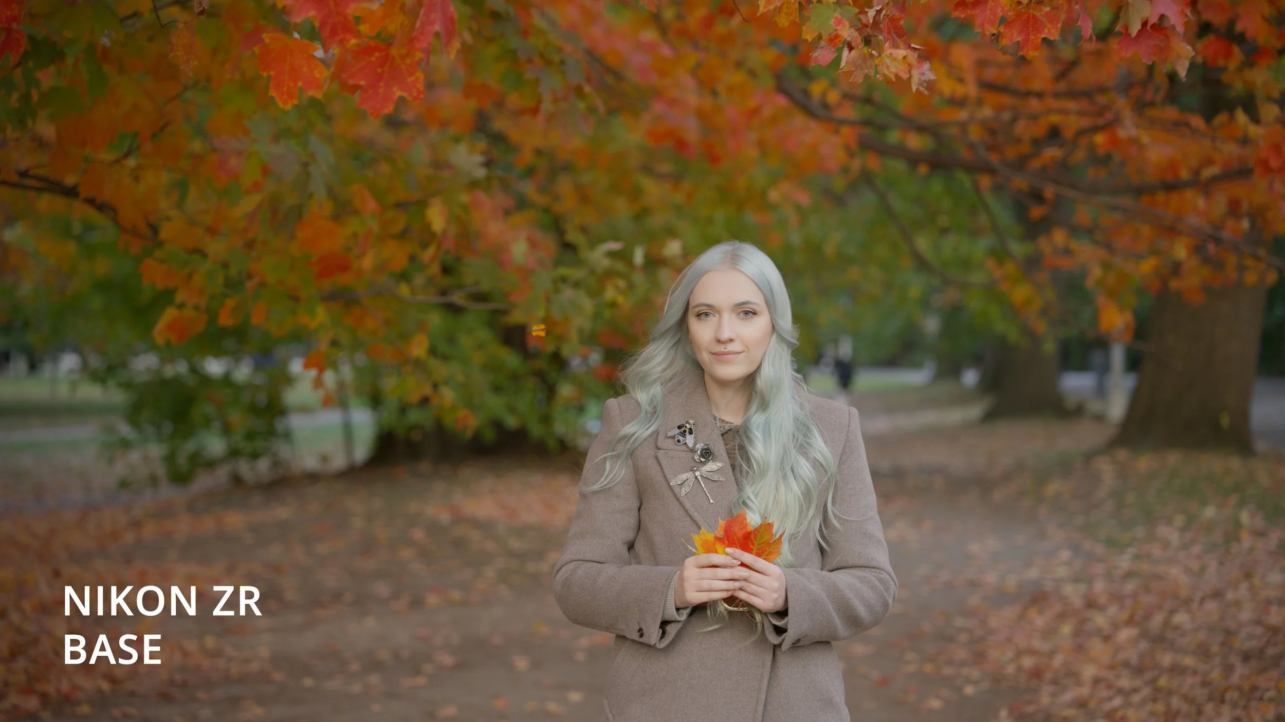 Nikon ZR Red Log3G10 Cinema Tools 709 LUT