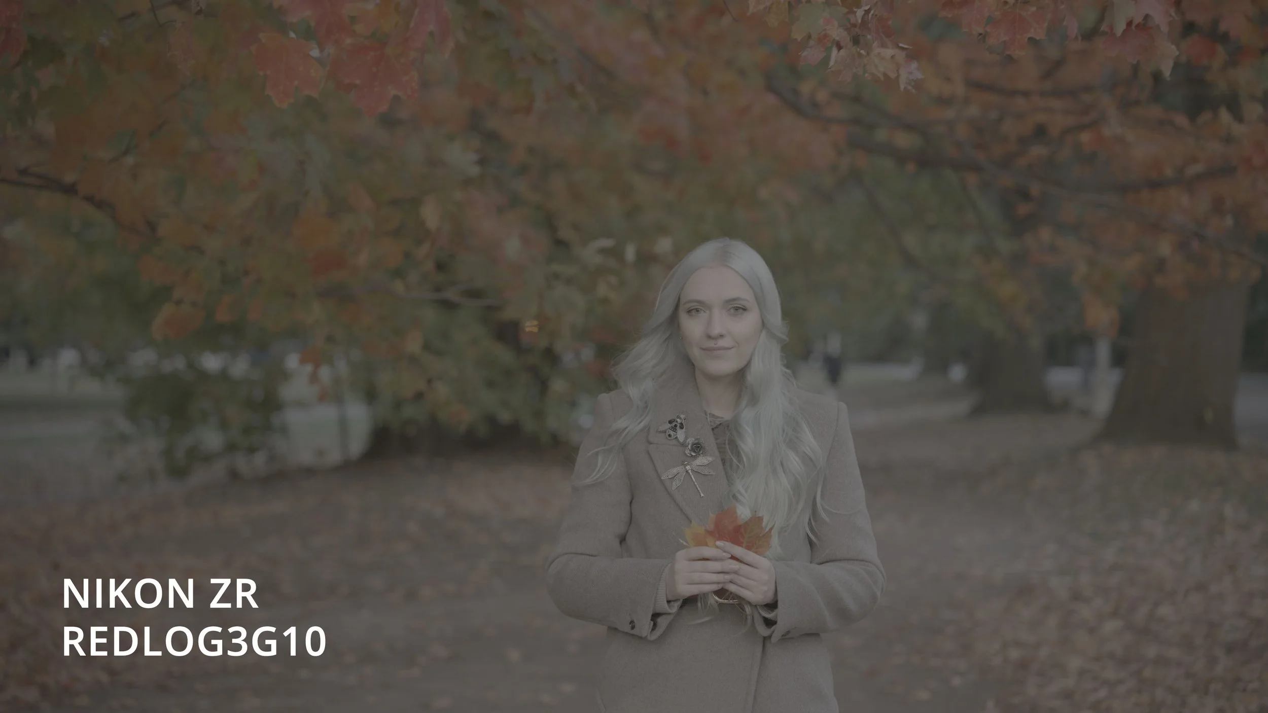 Nikon ZR Red Log3G10 Image