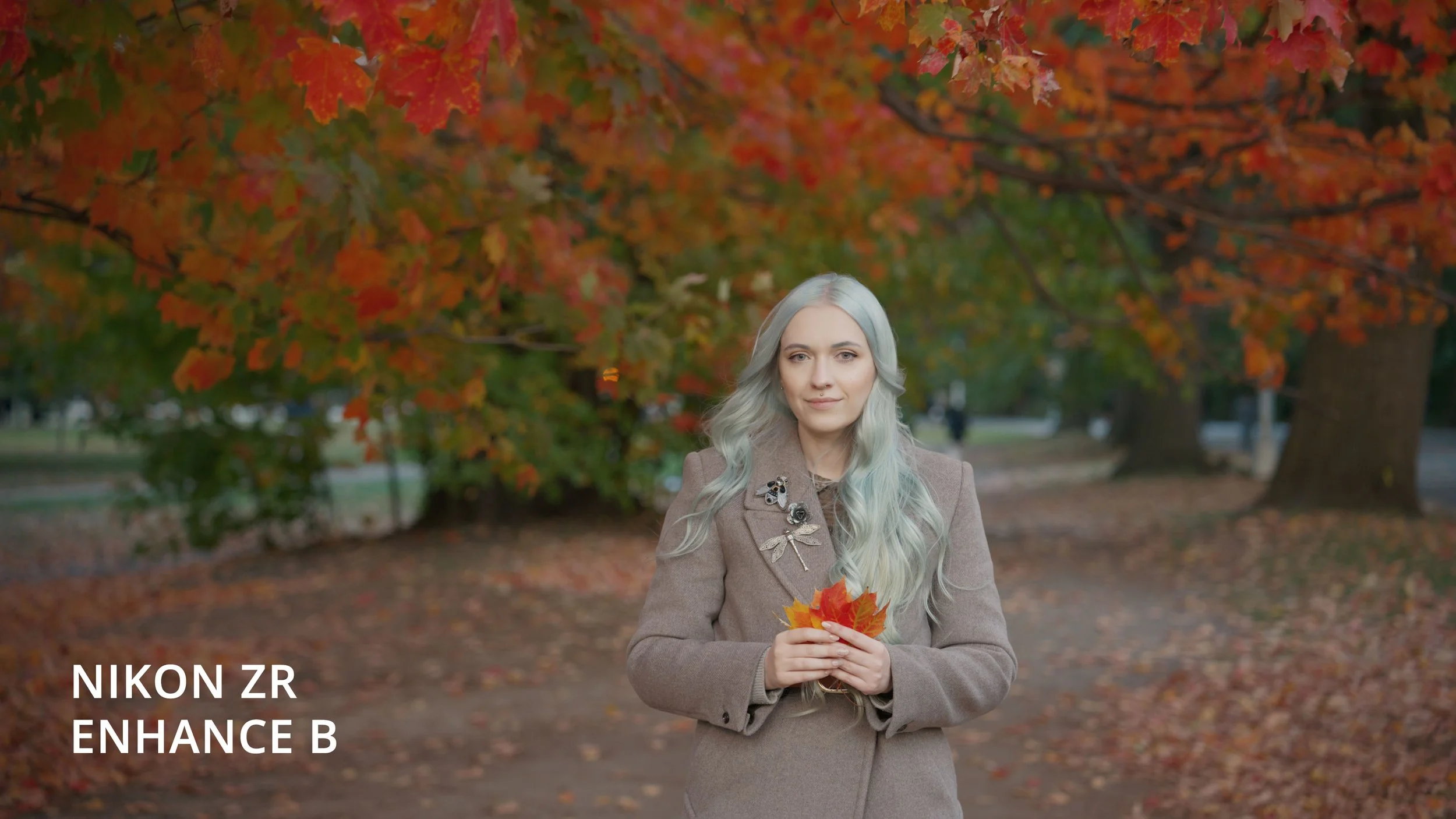 Nikon ZR Red Log3G10 Cinema Tools 709 Enhance B Cinematic LUT