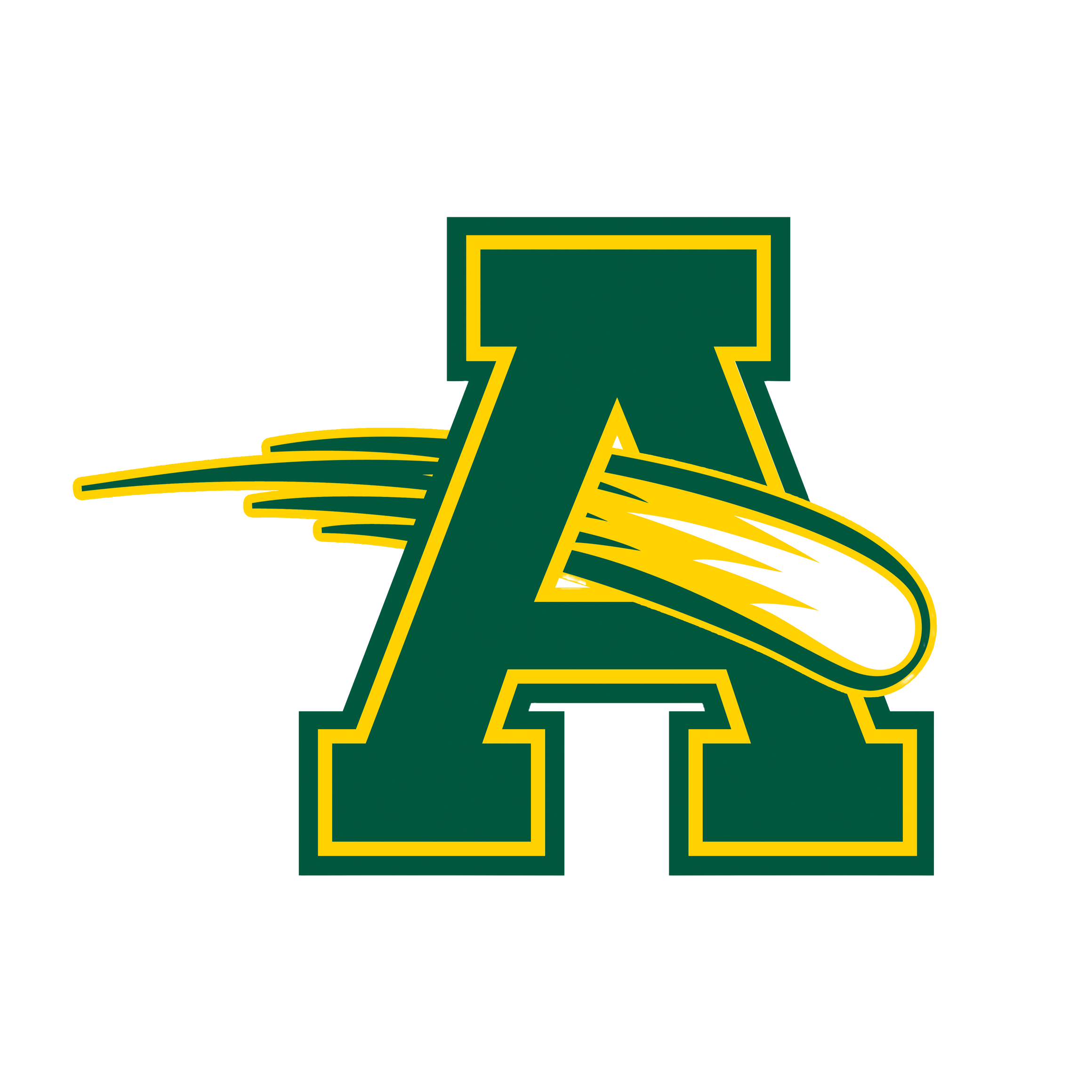 Amherst Steele High School