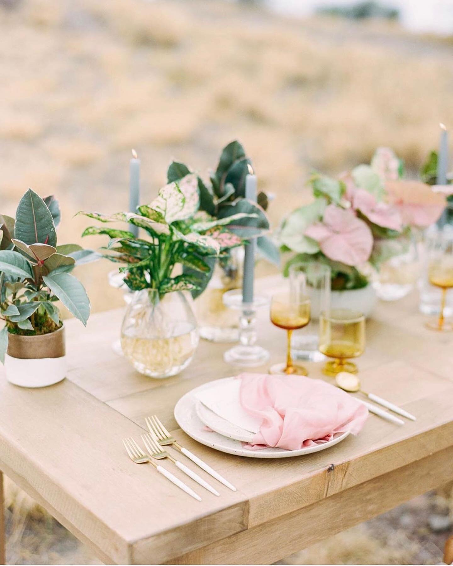 Excited to be featured today on @magnoliarouge ✨ We loved collaborating on this magical sunset shoot!! Mahalo @opihilove for including us!

PC: @brie.thomason 
Planning + Design: @opihilove 
Place Settings: @setmaui 
Floral: @bellabloommaui 
Rentals: