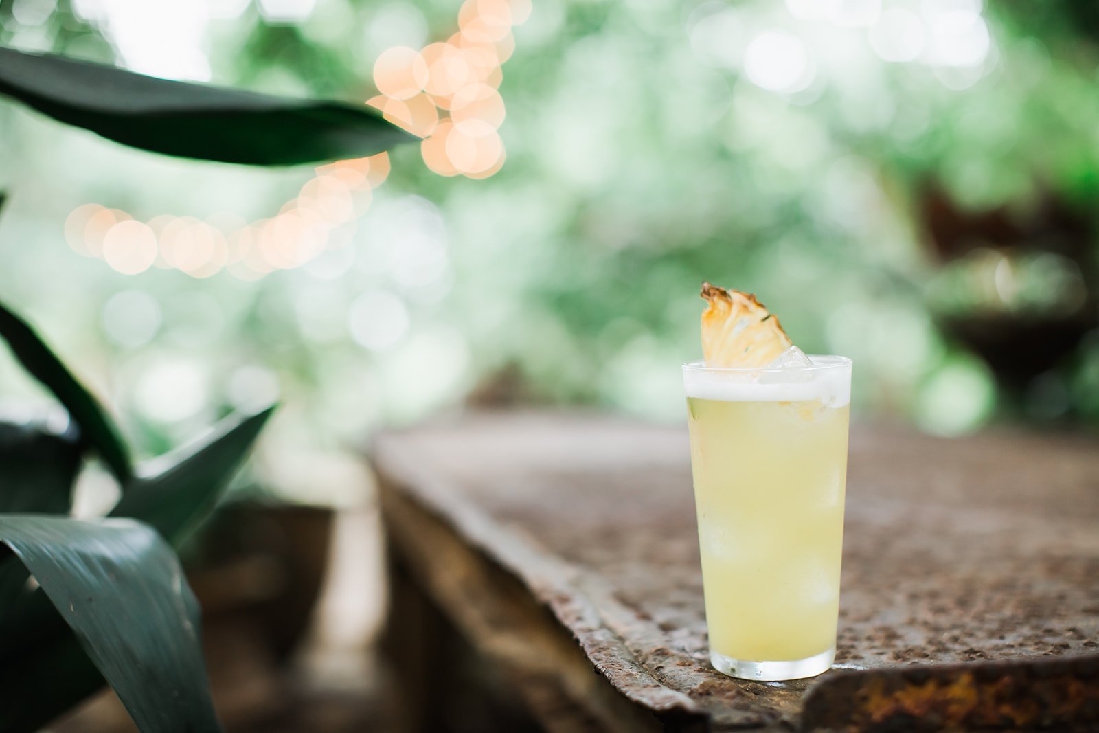 modern highball.jpg