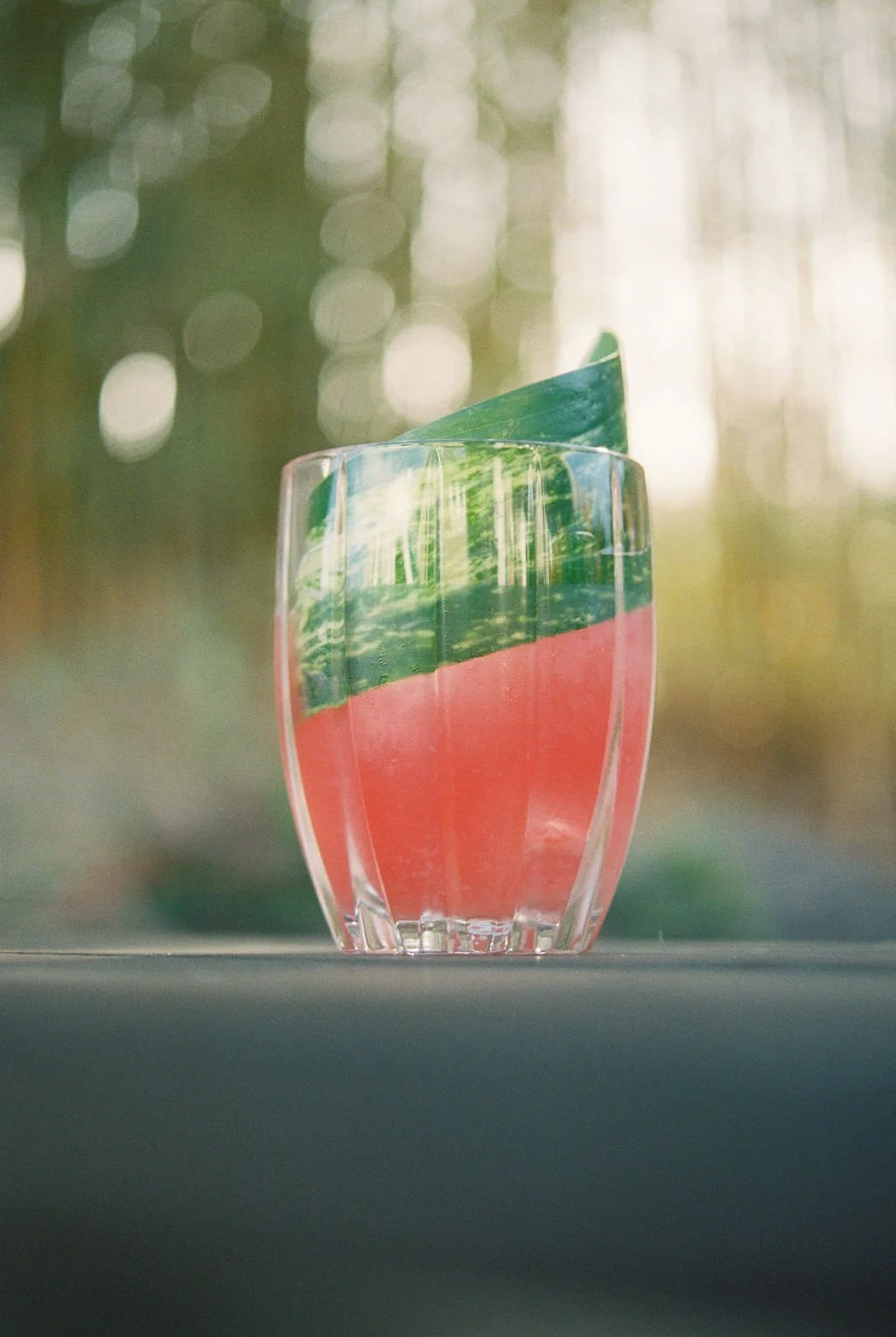 dylan watermelon cocktail.jpg