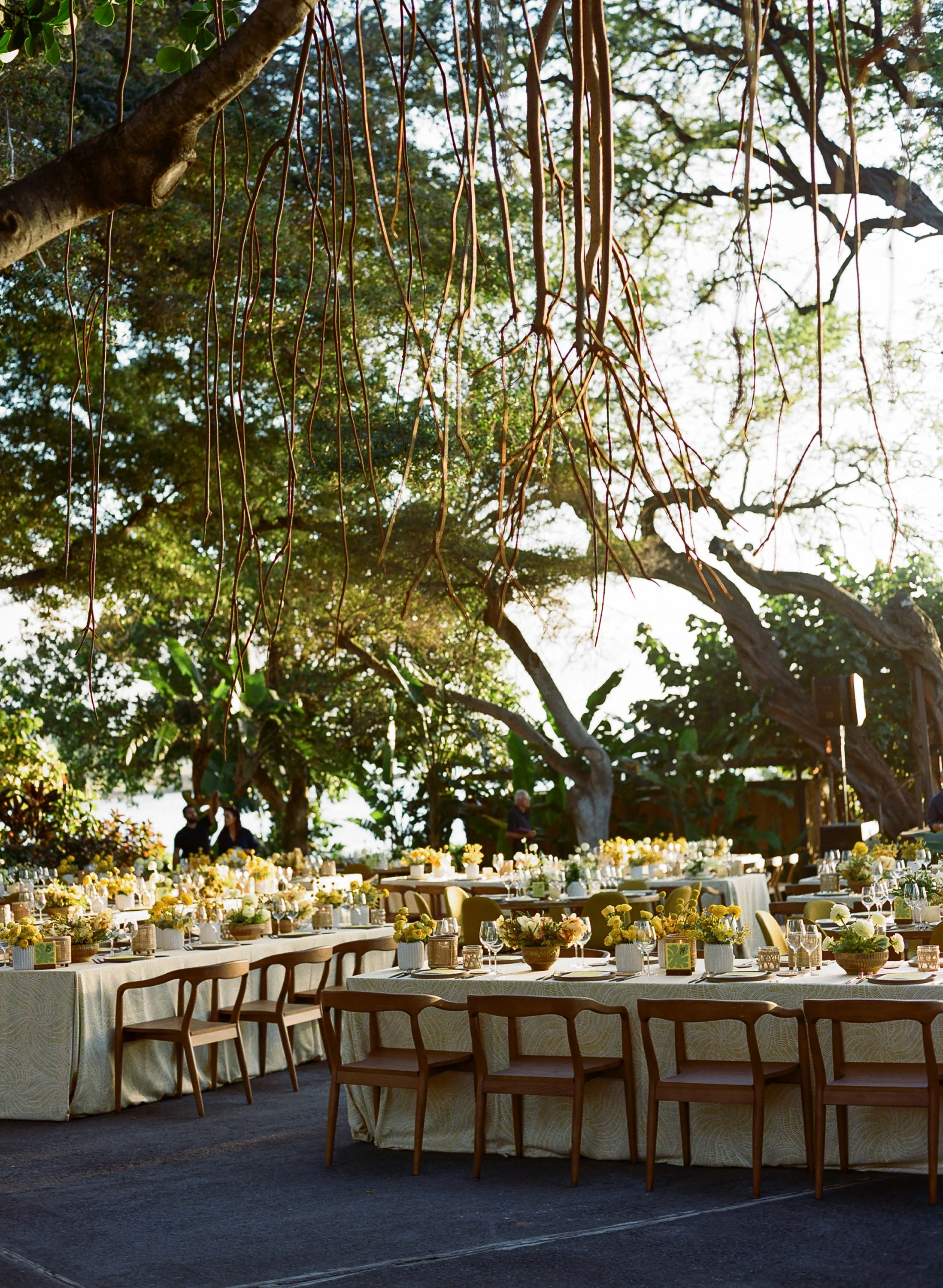 maui-tabeltop-rentals194-Claire&Charlie_Wedding.jpg
