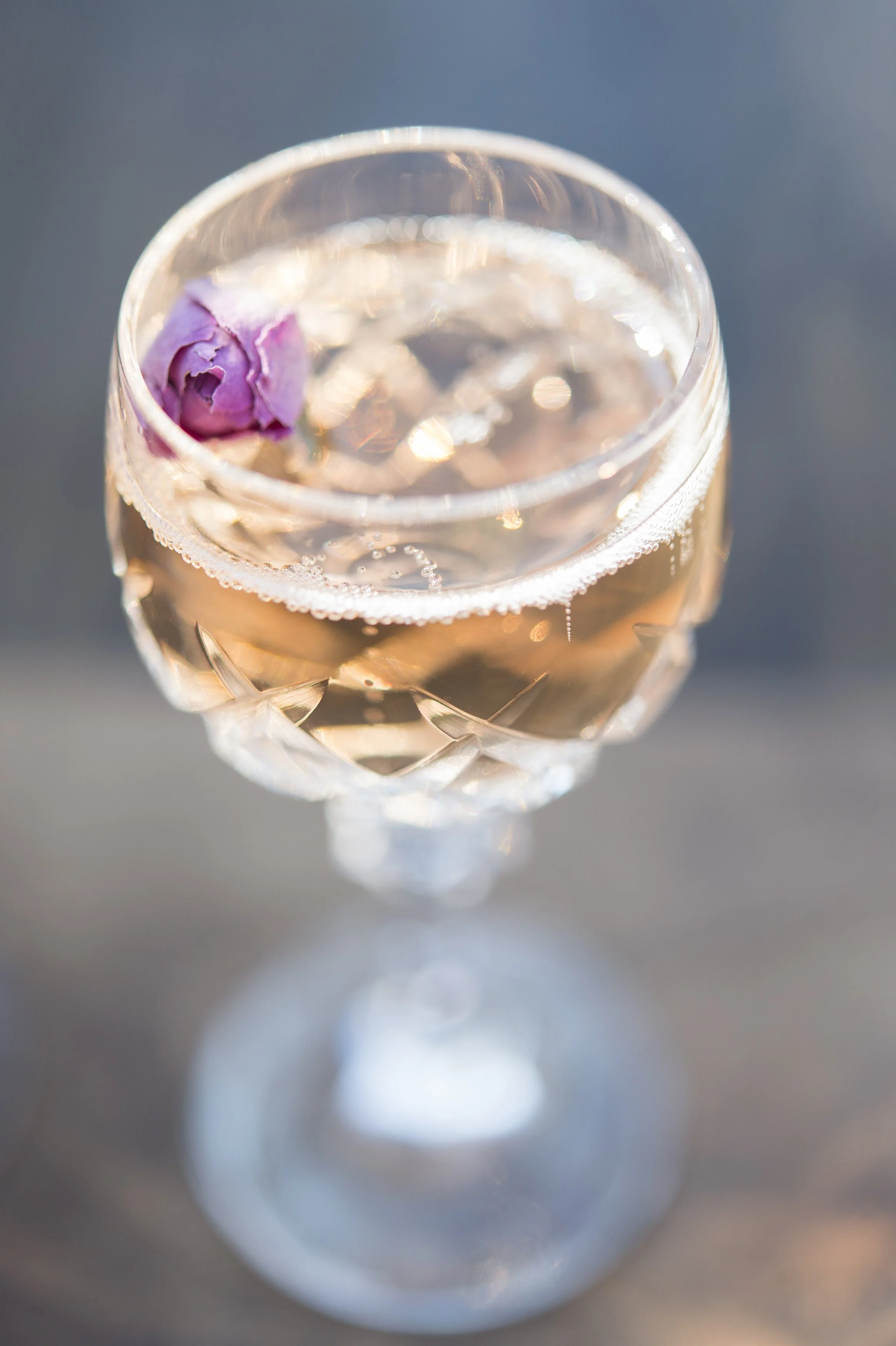 vintage Elena aperitif.jpg