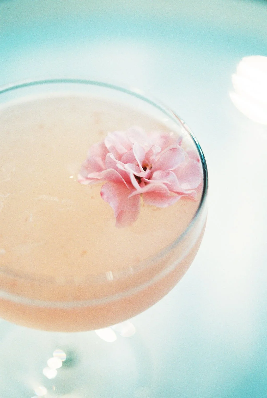 Garnish2020_066.jpg