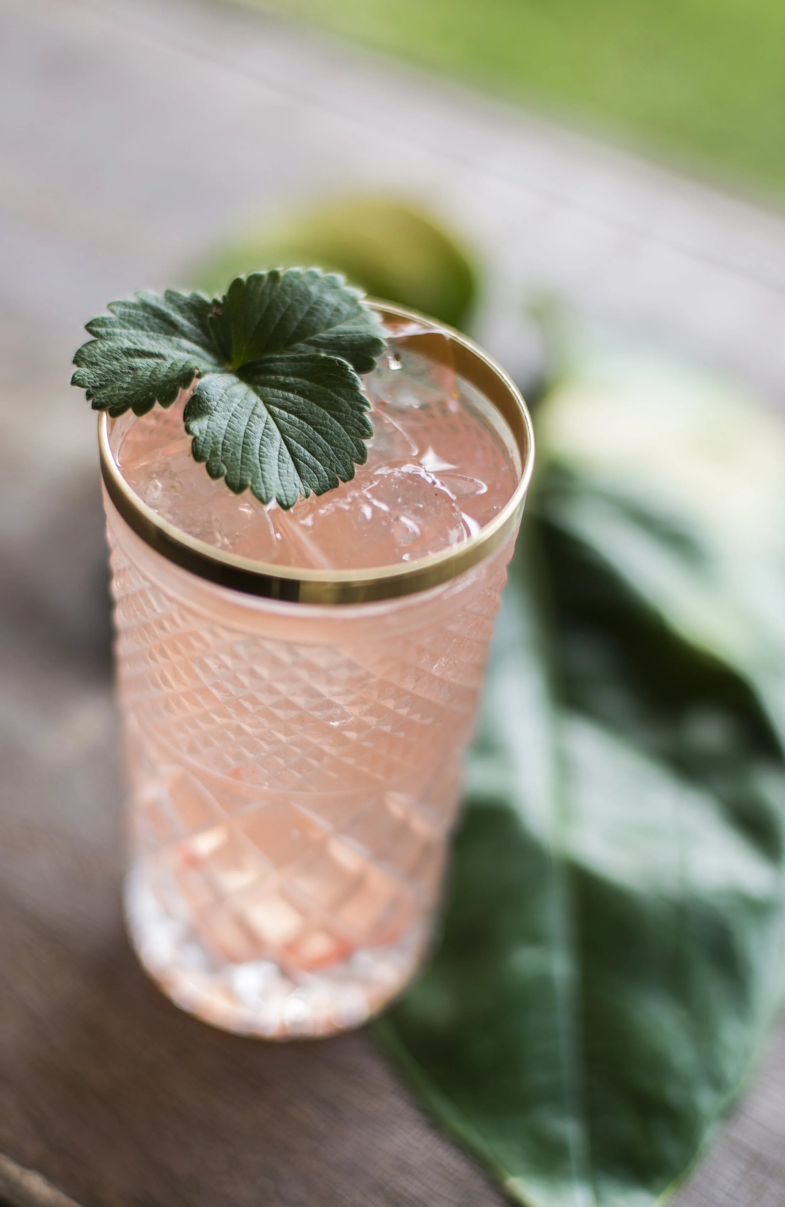 vintage juliette highball strawberry.jpg