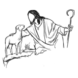 The Marks of a True Shepherd