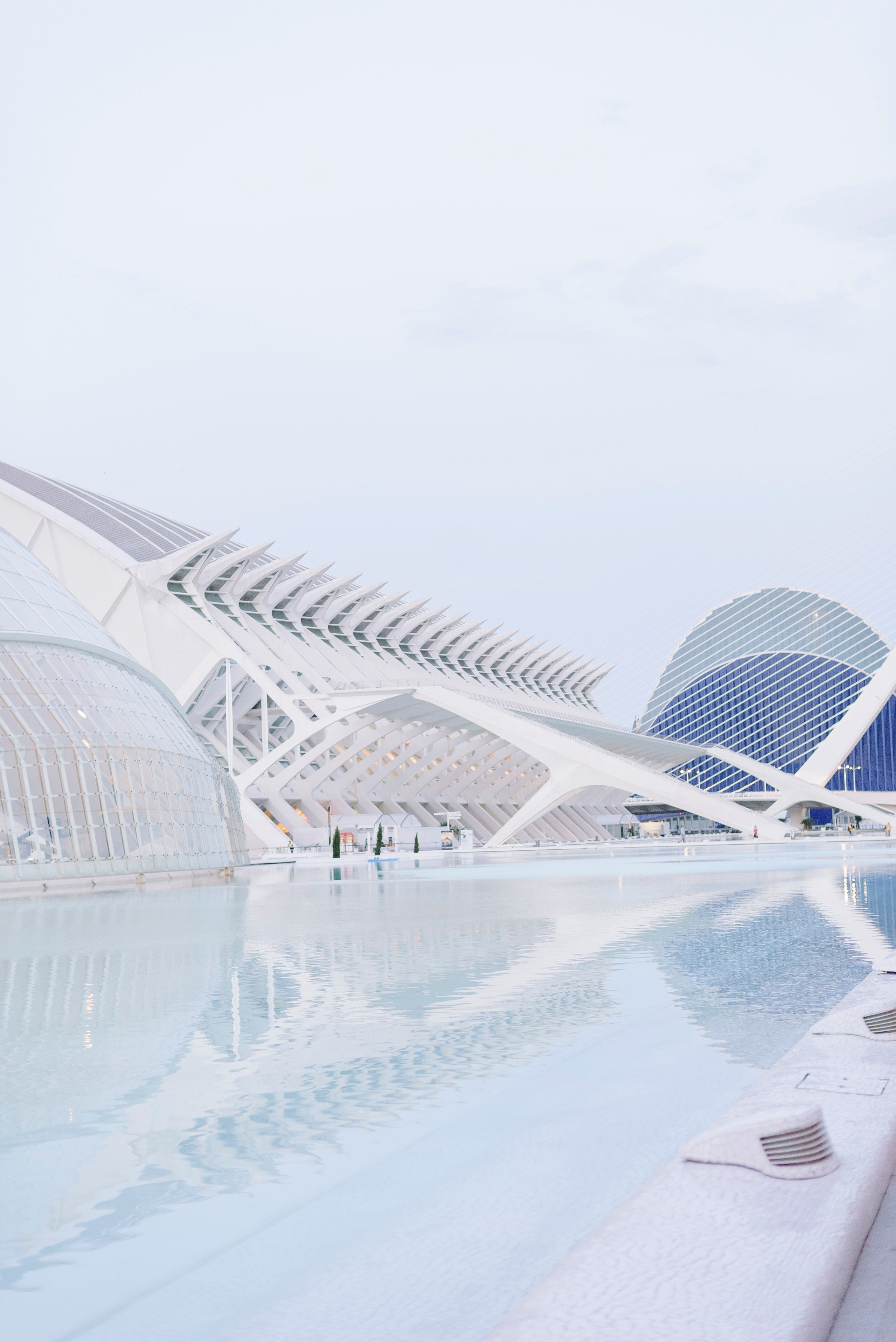 Texas Remote Seller Sales Tax Notice Study Reveals More Than Expected