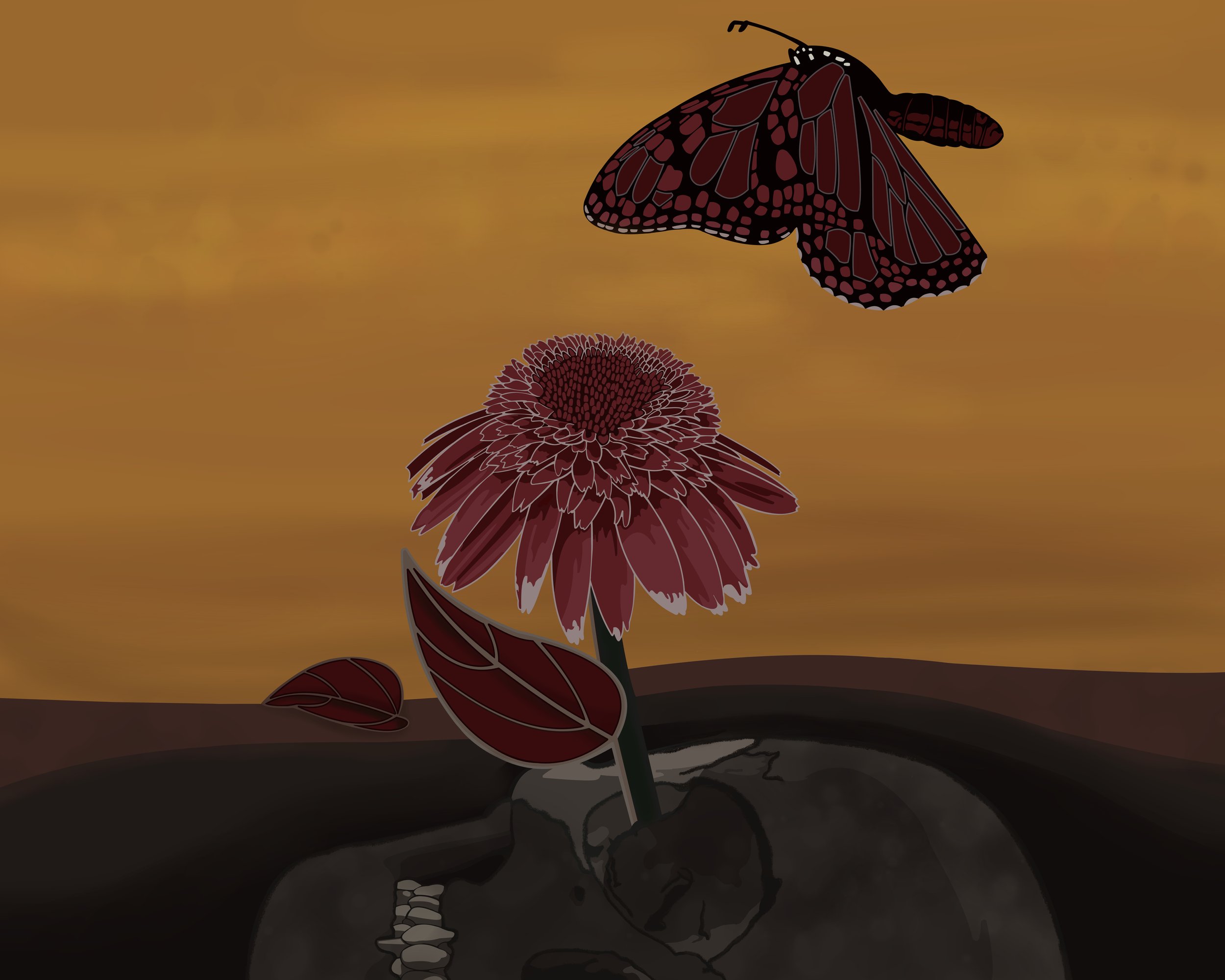 Wild Flowers (2025)