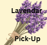 Solace Lavender Farm: Community U-Pick