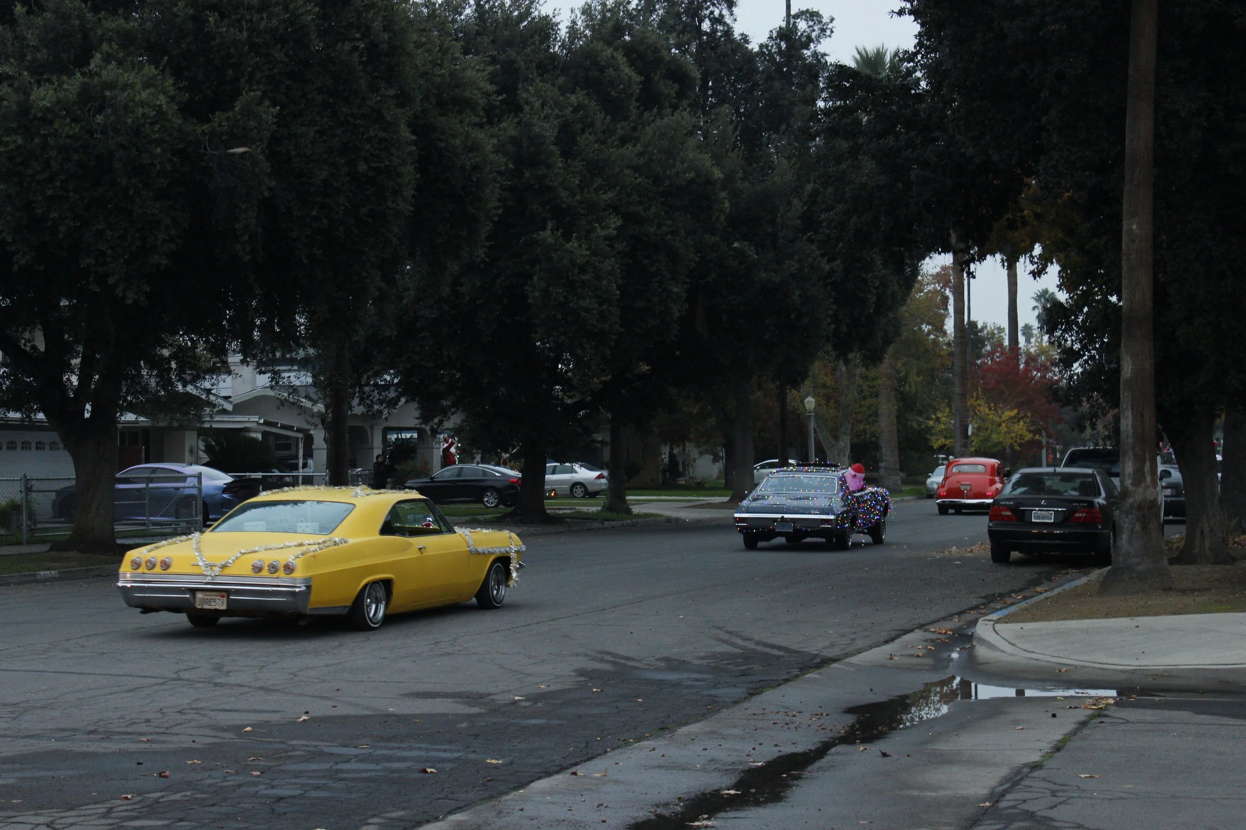 _MG_0734.jpg