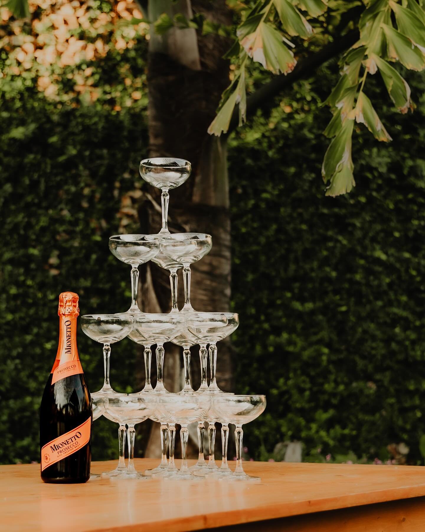 Just a simple Friday morning setup in my backyard 😉

#tgif #weddingphotographer #californiaweddingphotographer #champagnetower #socalweddingphotographer #weddingsetup #cheerstotheweekend